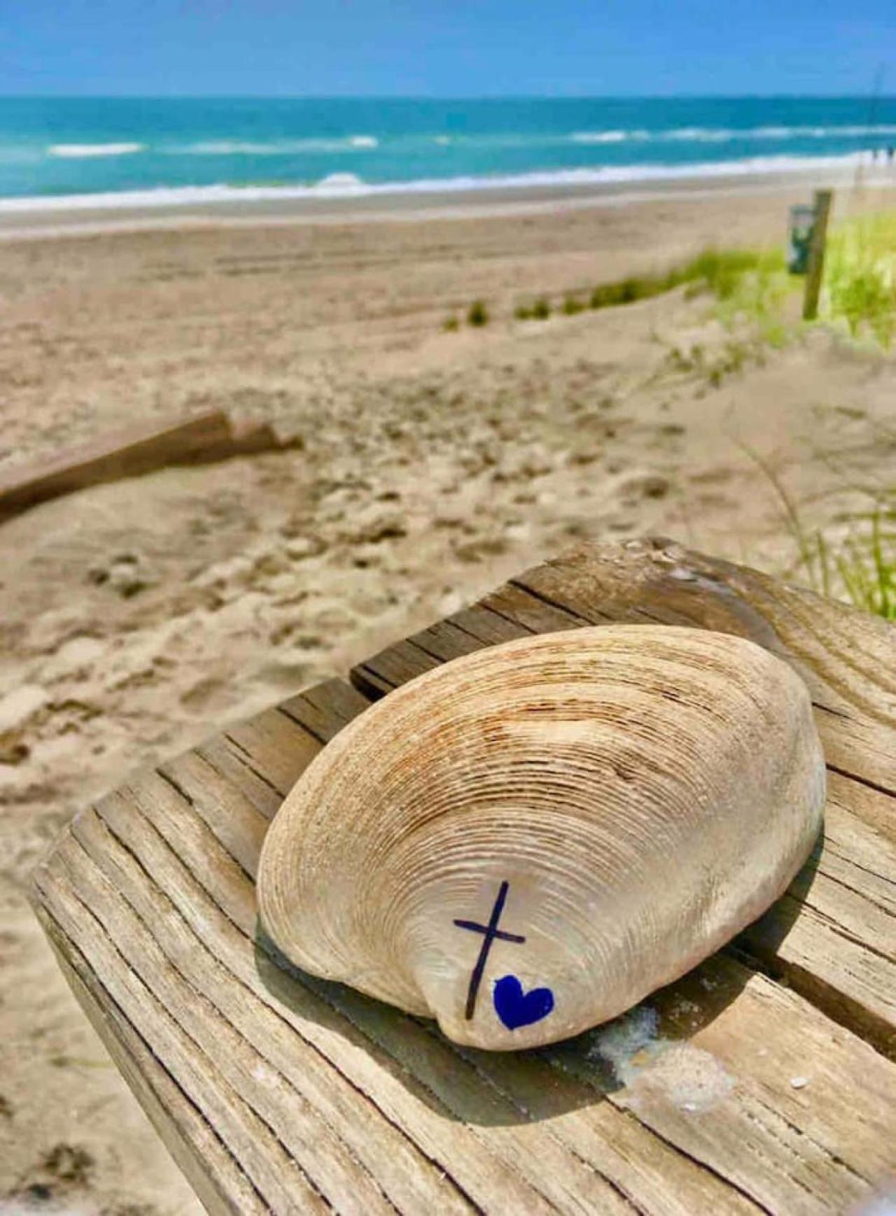 Sunskipper Iota