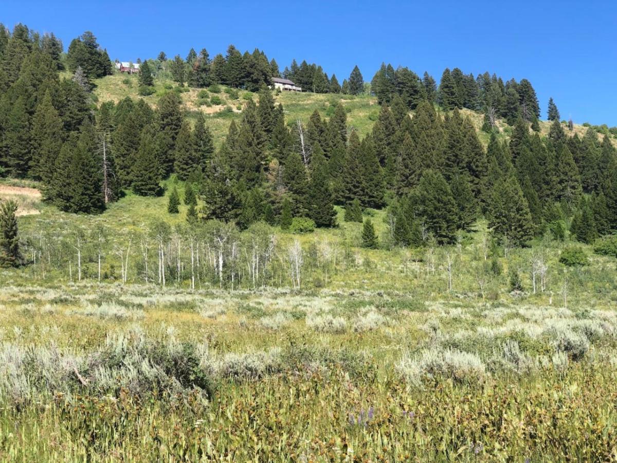 Breathtaking Views Close to Yellowstone