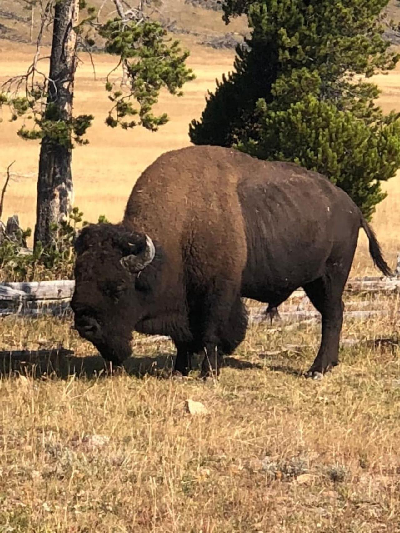 Breathtaking Views Close to Yellowstone