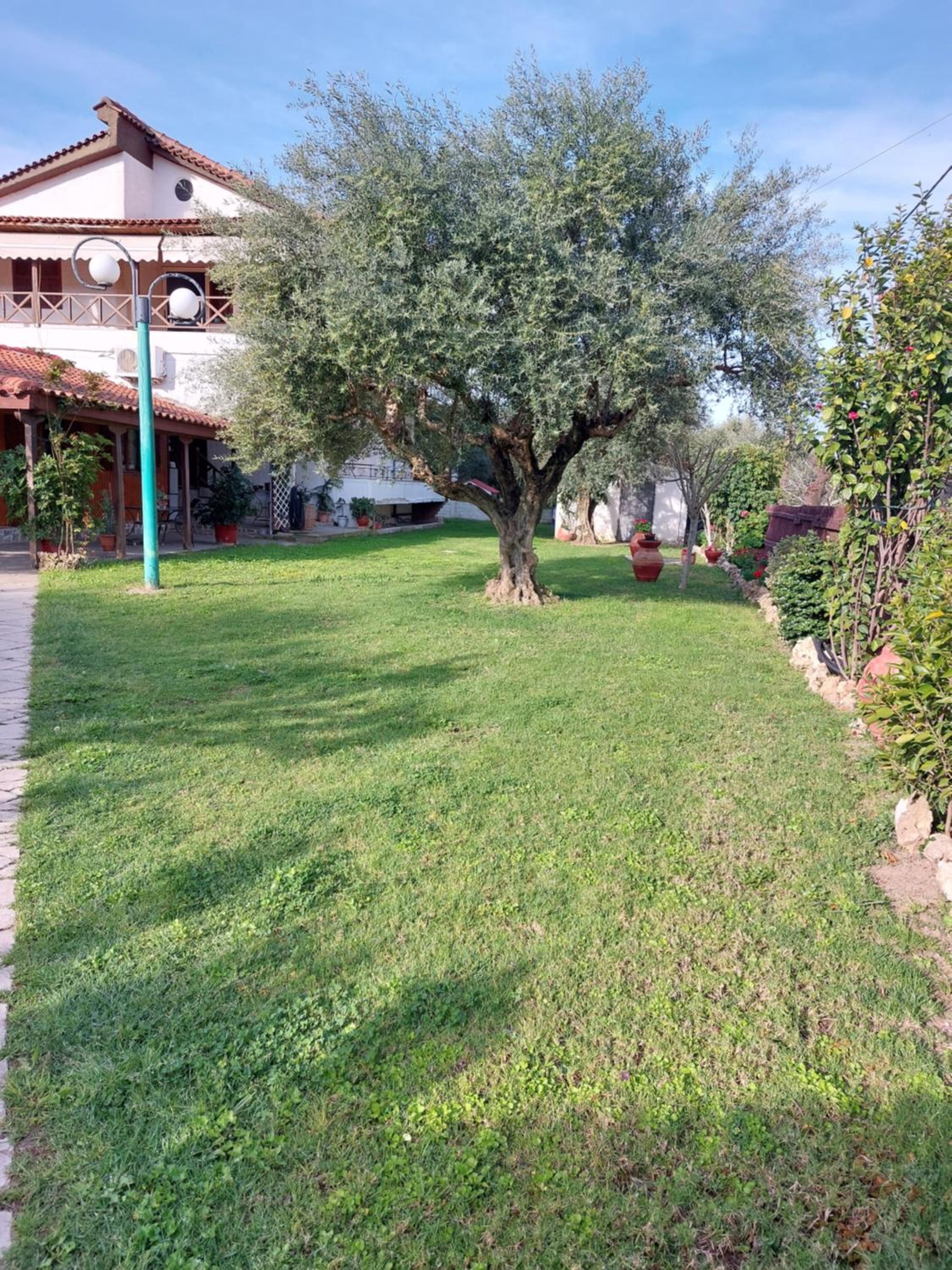 Photo 29