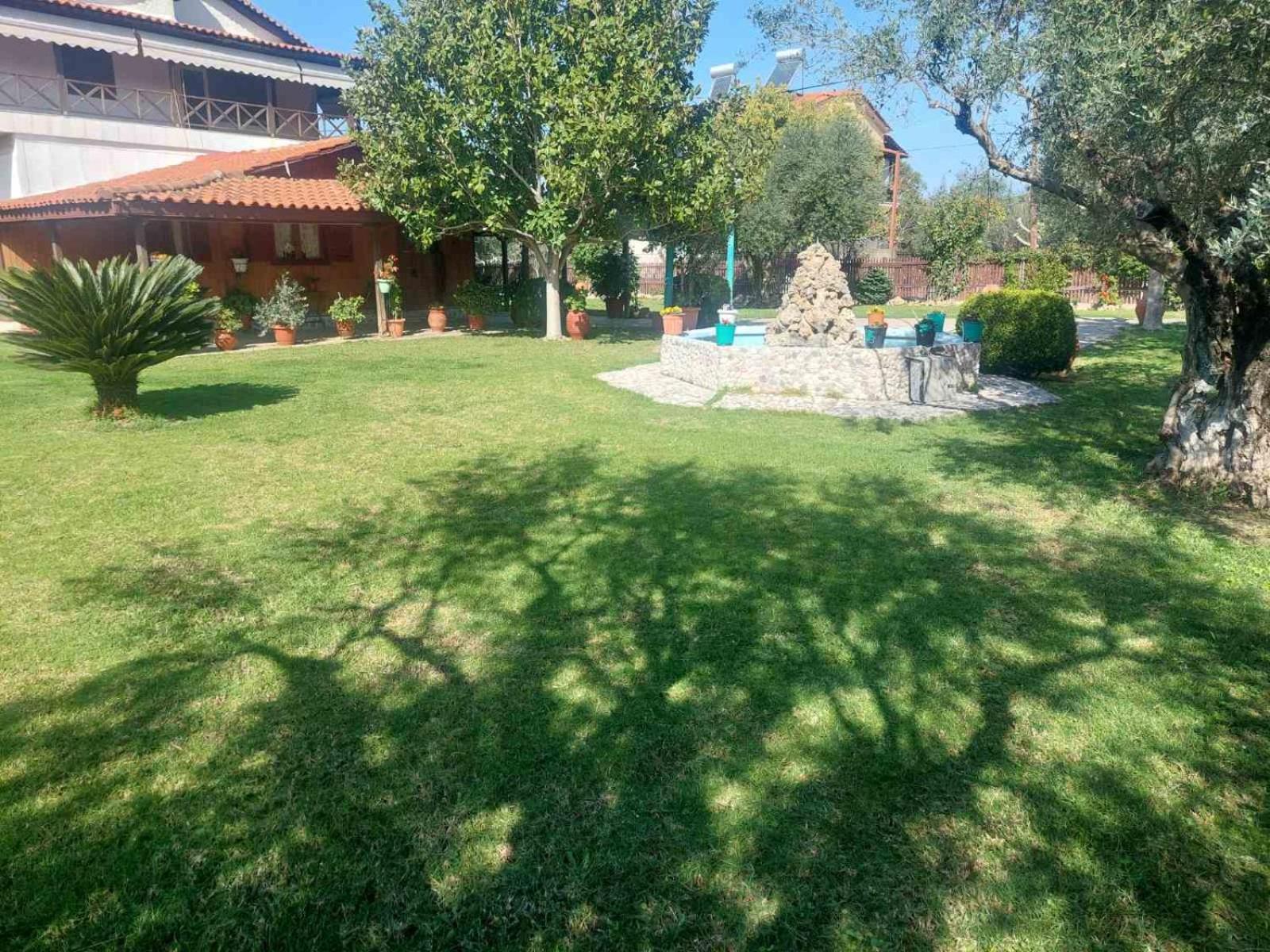 Photo 28