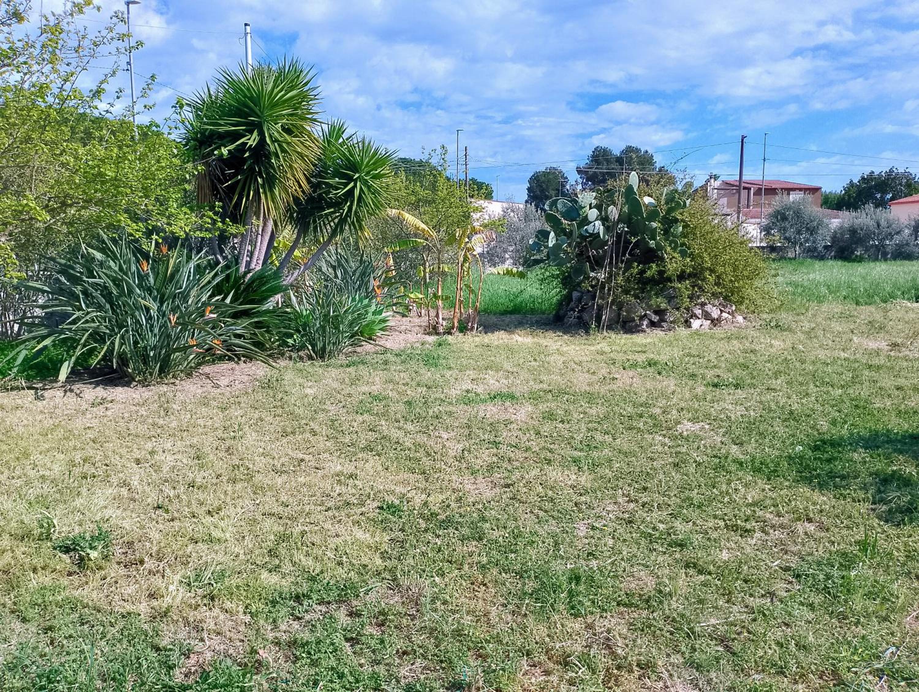 other