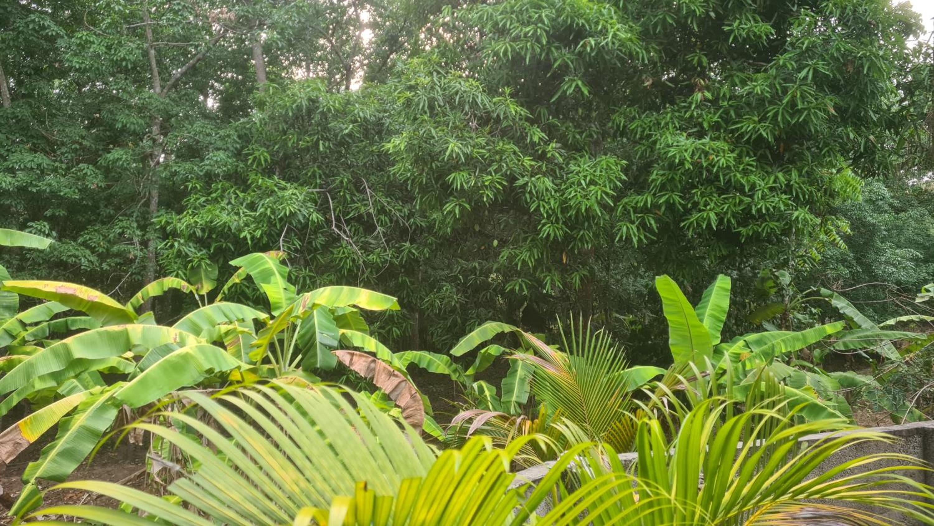 Surabhi-Nature Villa , Private floor AC view 4