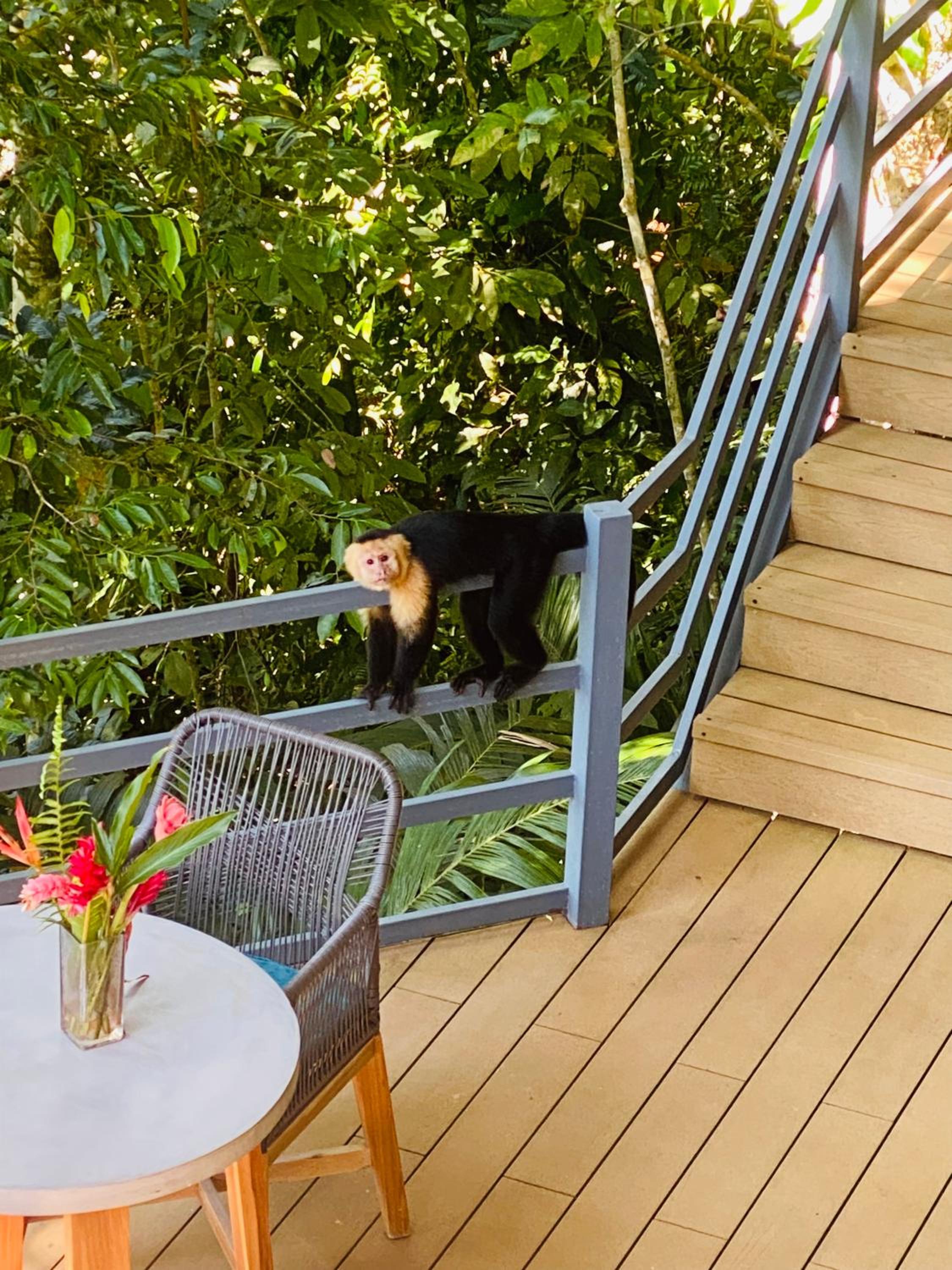 Hotel Villas en el Bosque - Image 1