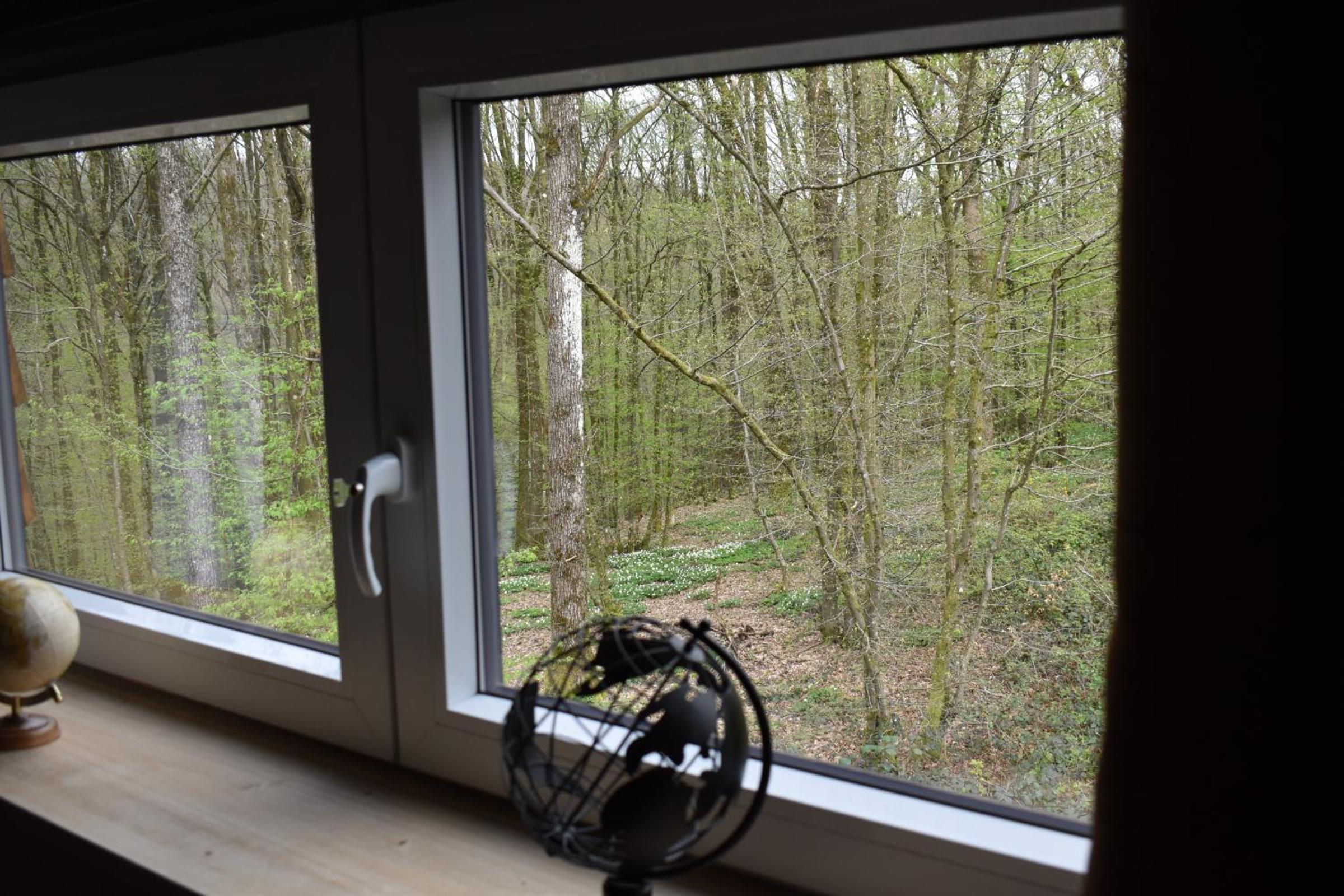 Gite cocon dans la forêt