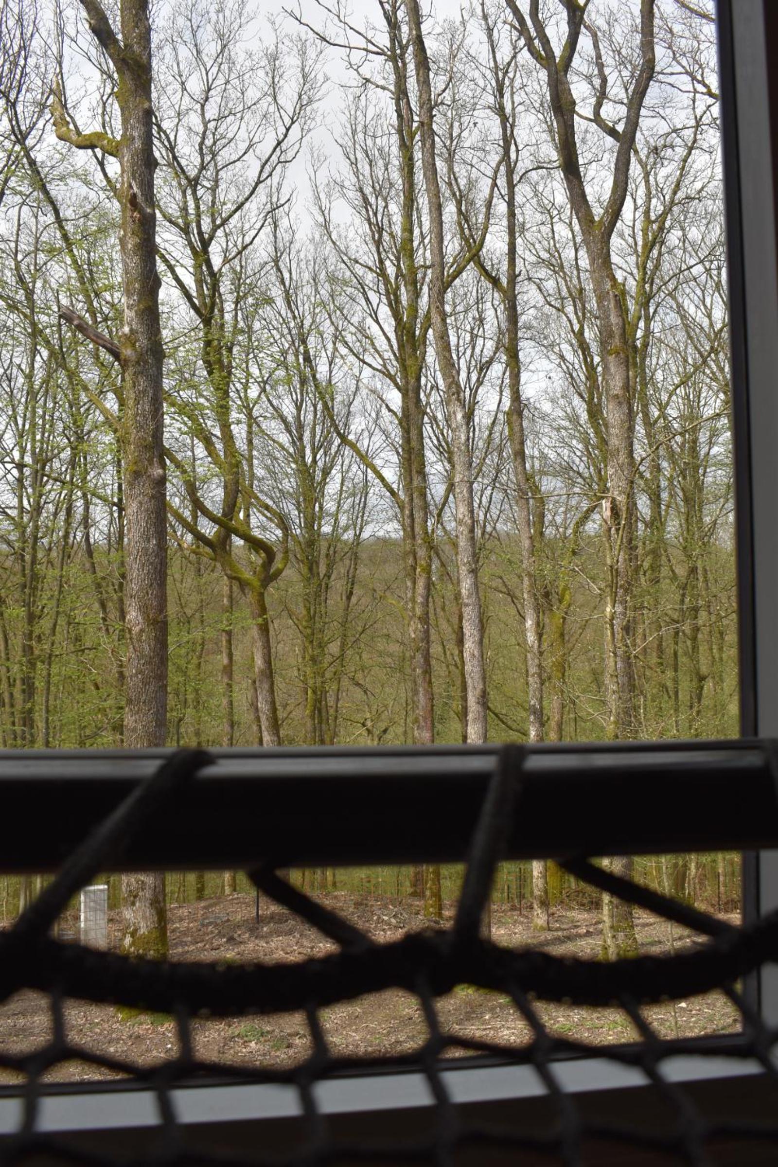 Gite cocon dans la forêt