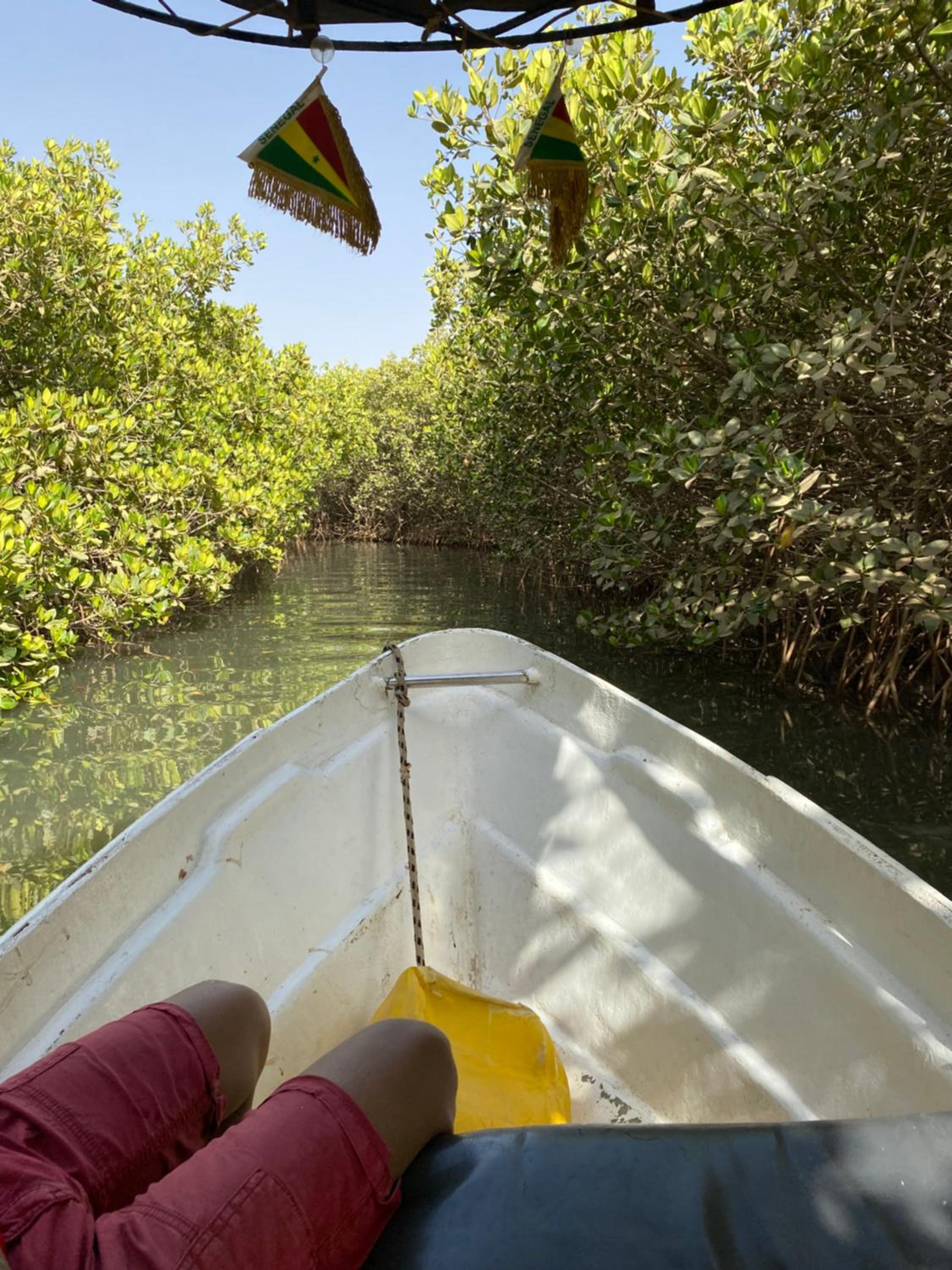 la Case Africaine view 5