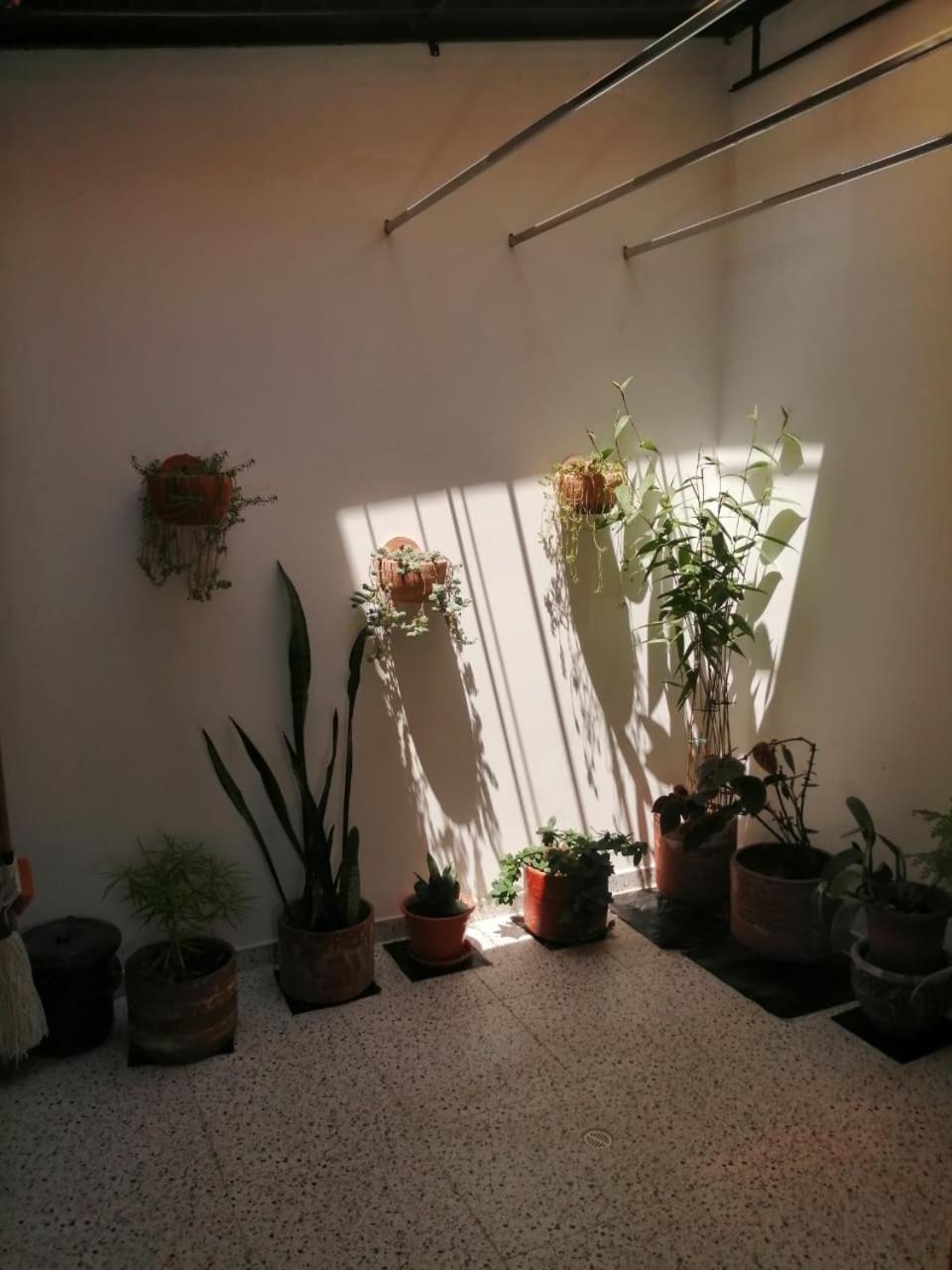 La Quinta.