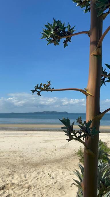 Casa de Praia Itaparica Frente Mar- Ponta de Areia