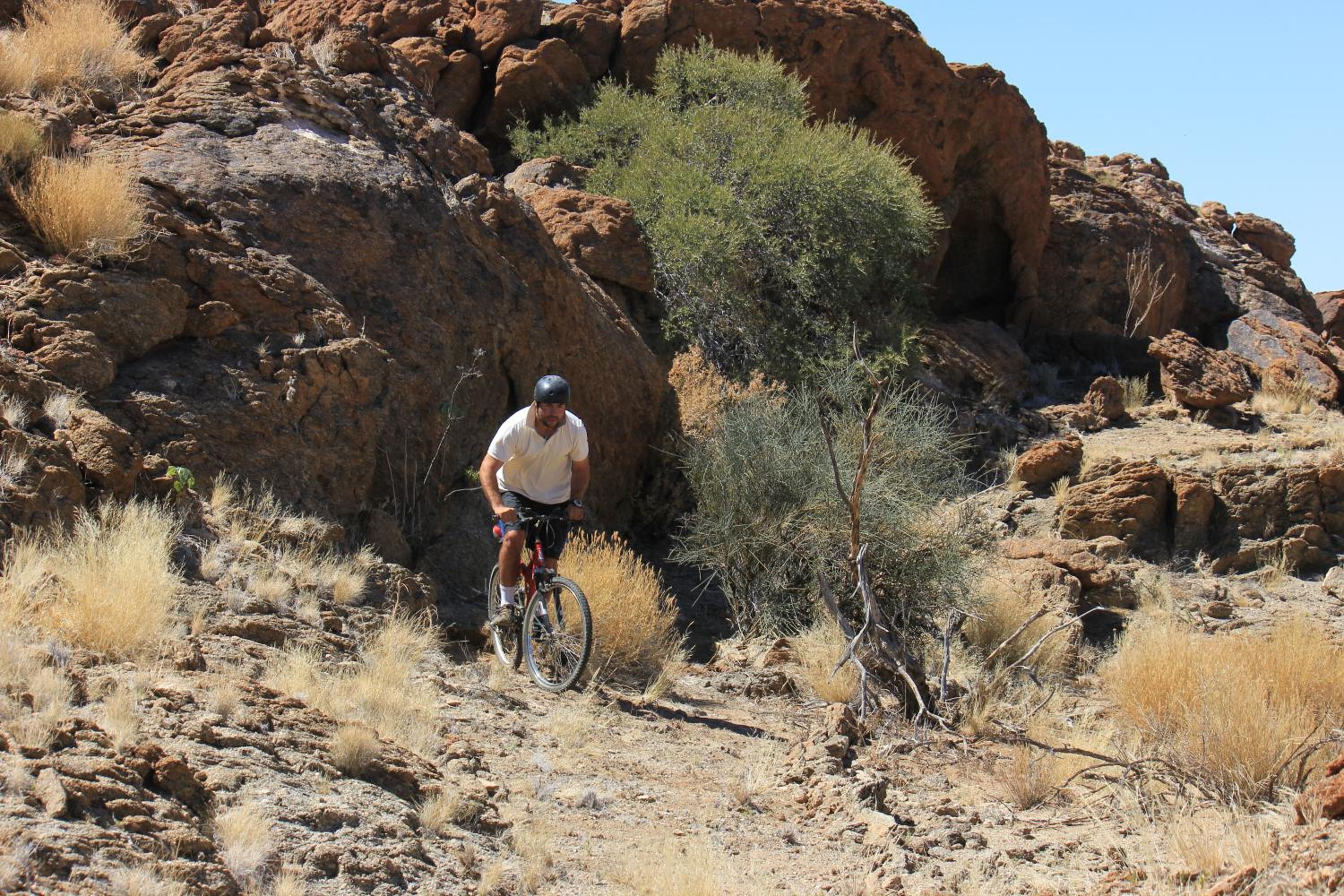 Photo 30