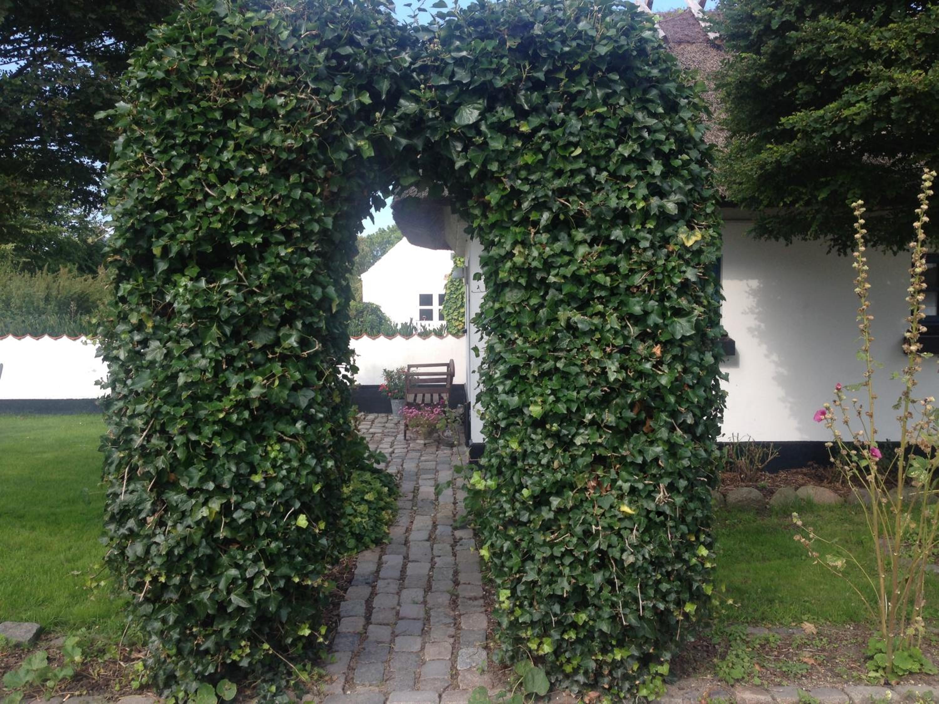 Photo 57