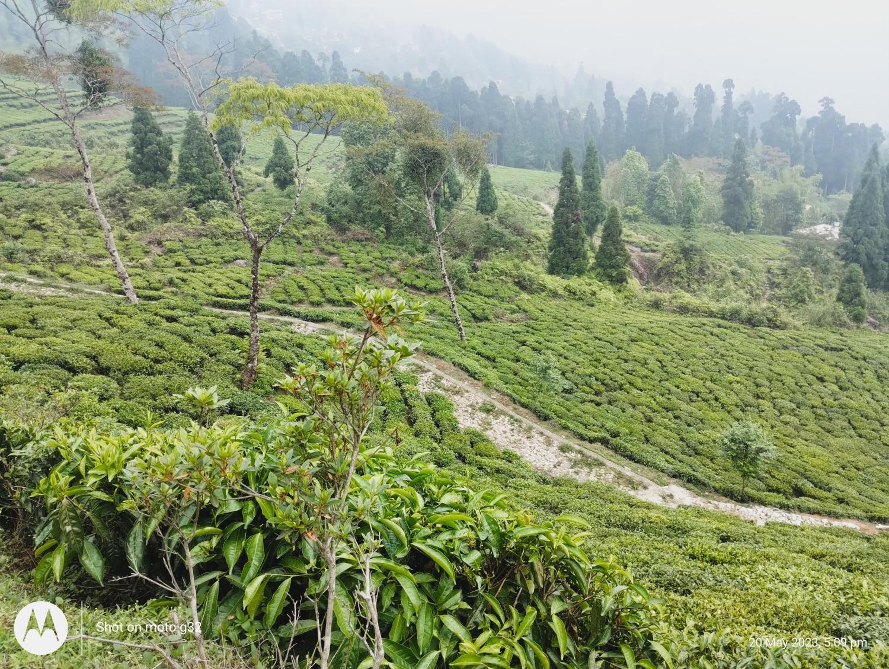 Meera homestay