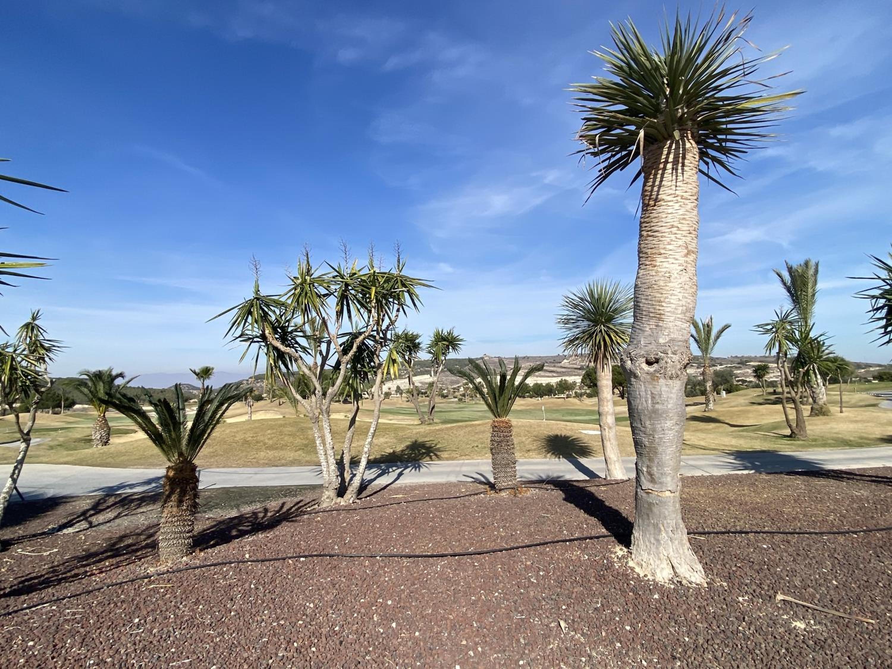 Impresionante apartamento en zona de GOLF