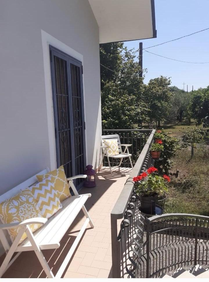 Casa i Quattro Alberi view 4