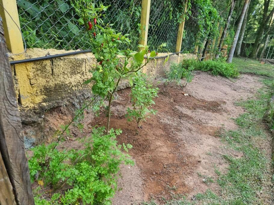 Sitio com vista apaixonante