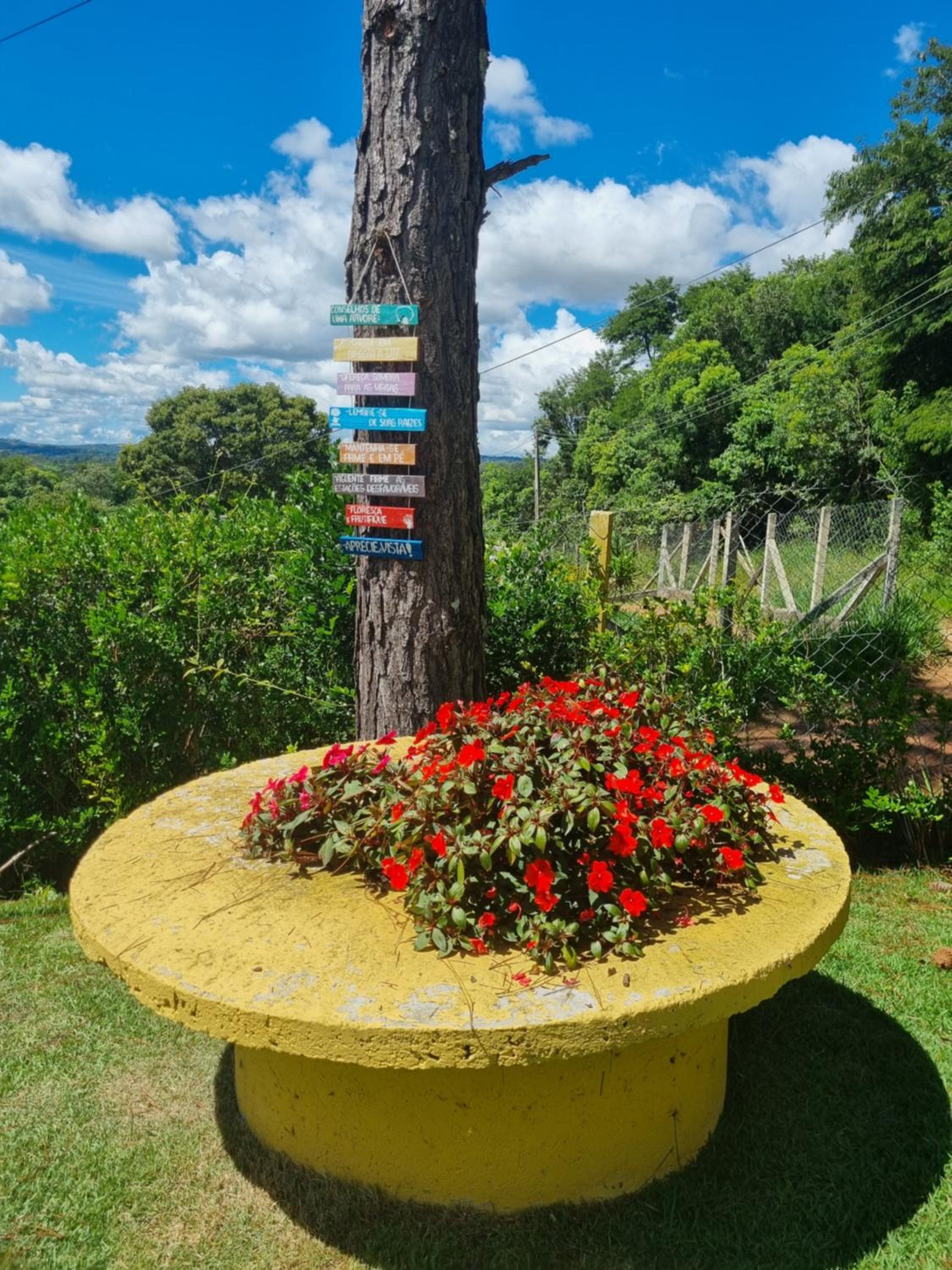 Sitio com vista apaixonante