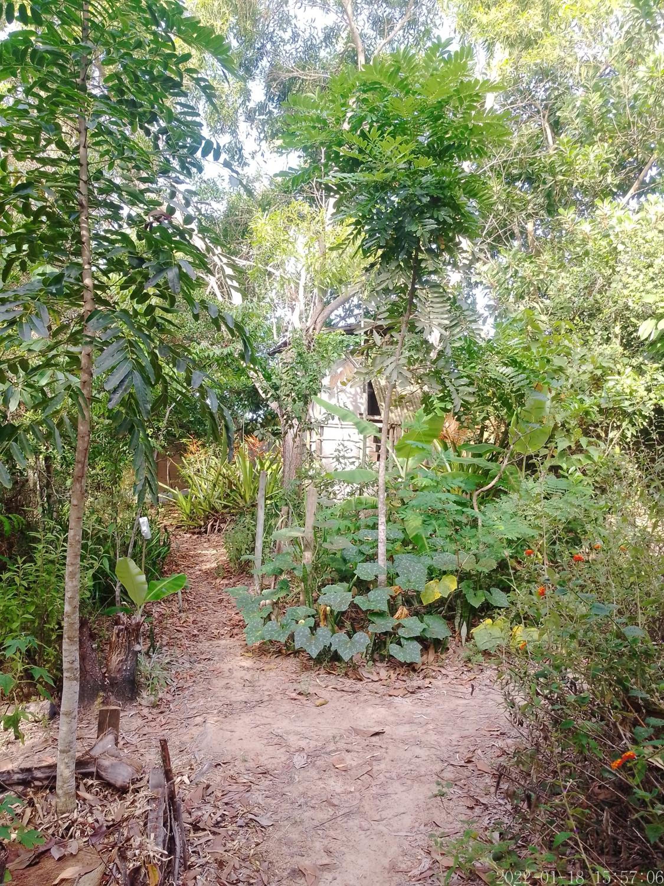 Anovafloresta