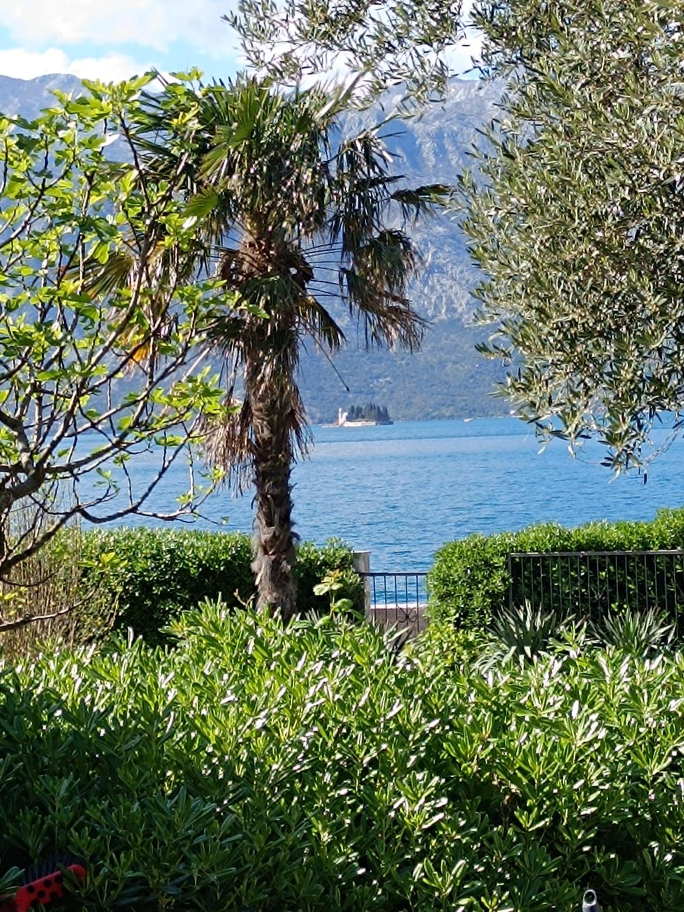 Oliva sea side guest house