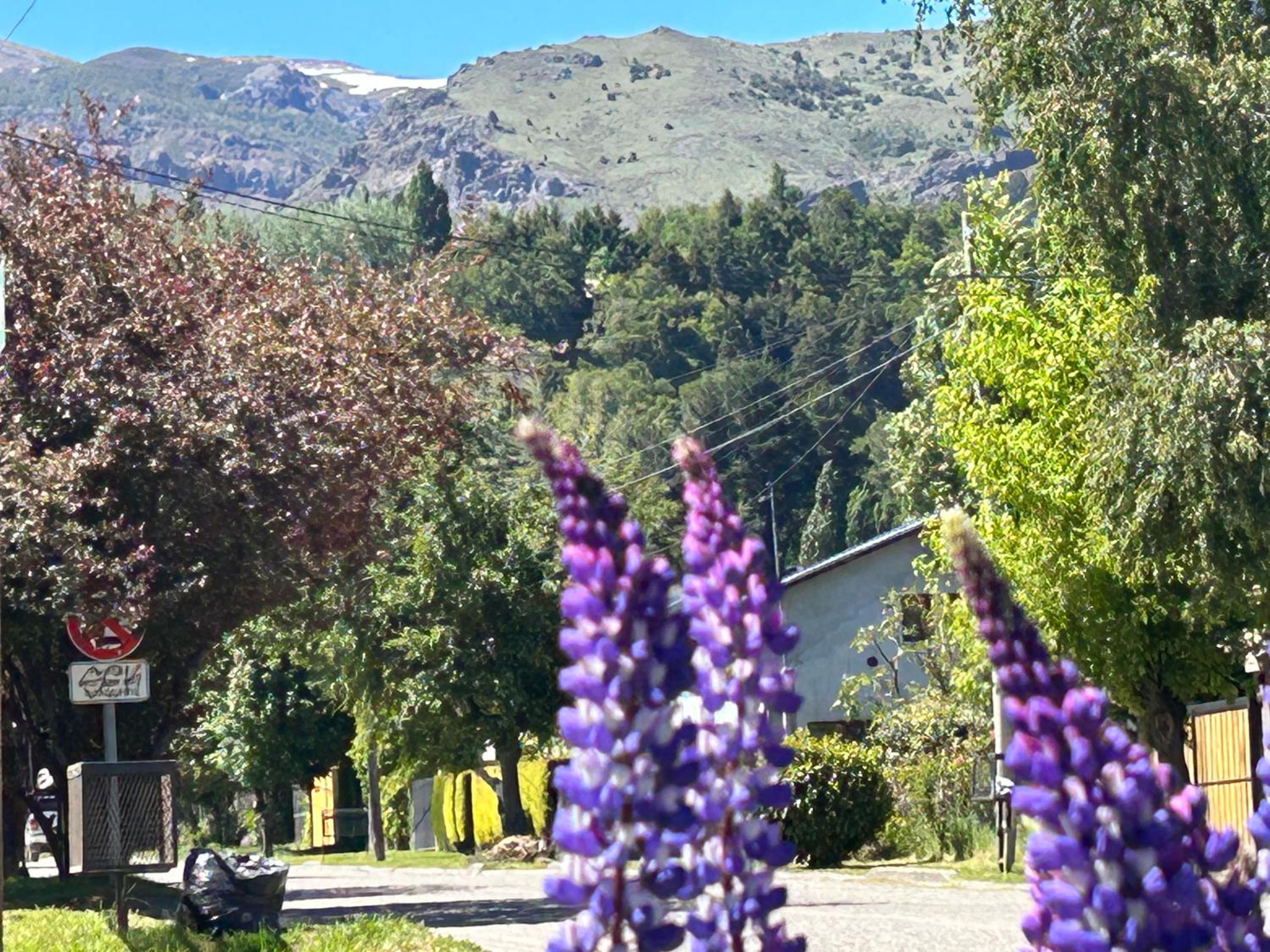 Cabaña Le Betulle