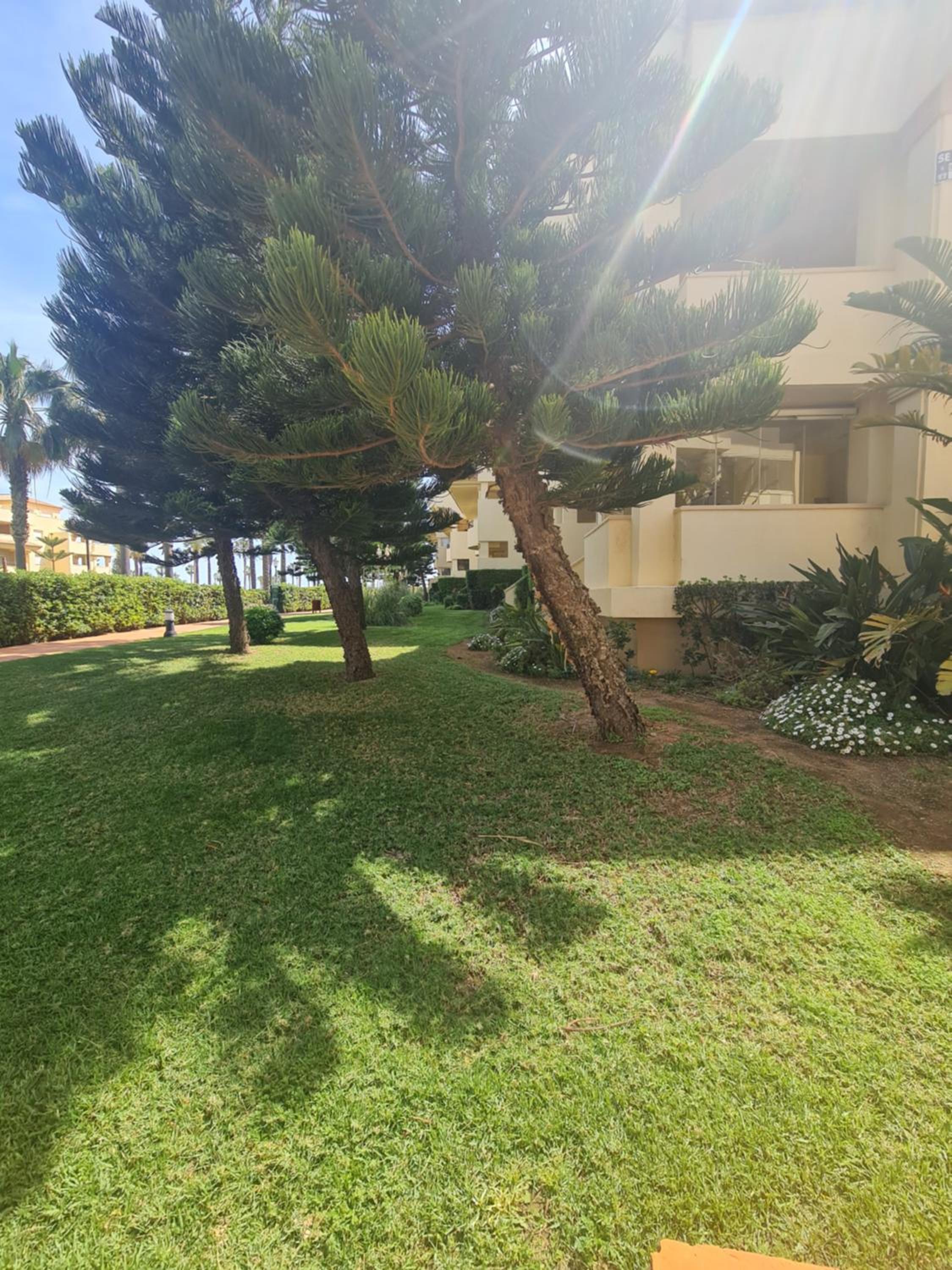 Villa Romana con piscina privada y vistas al jardín