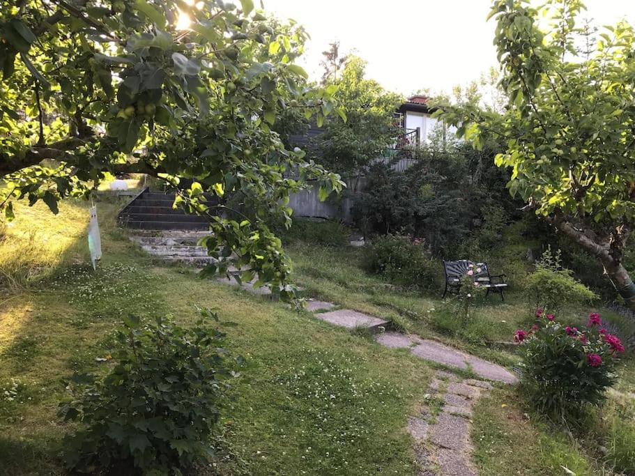 Photo 28