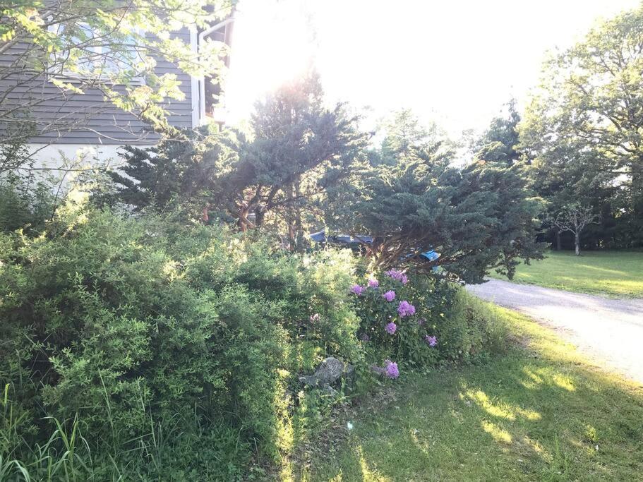 Photo 36