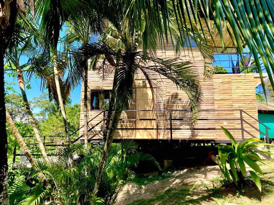Cotinga Nest - King Bed, Ocean View