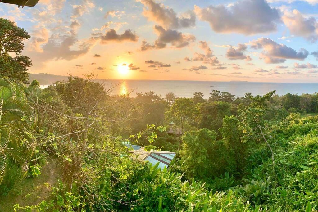 Cotinga Nest - King Bed, Ocean View