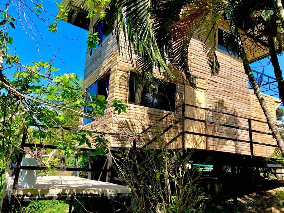 Cotinga Nest - King Bed, Ocean View