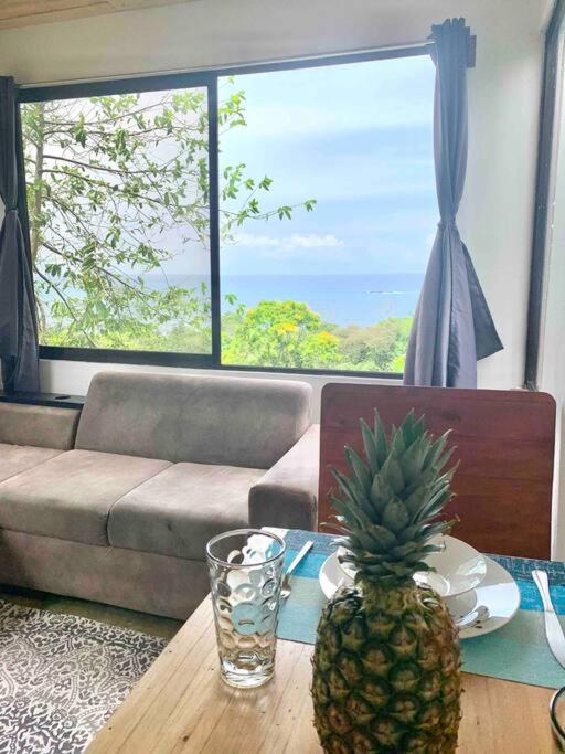 Cotinga Nest - King Bed, Ocean View