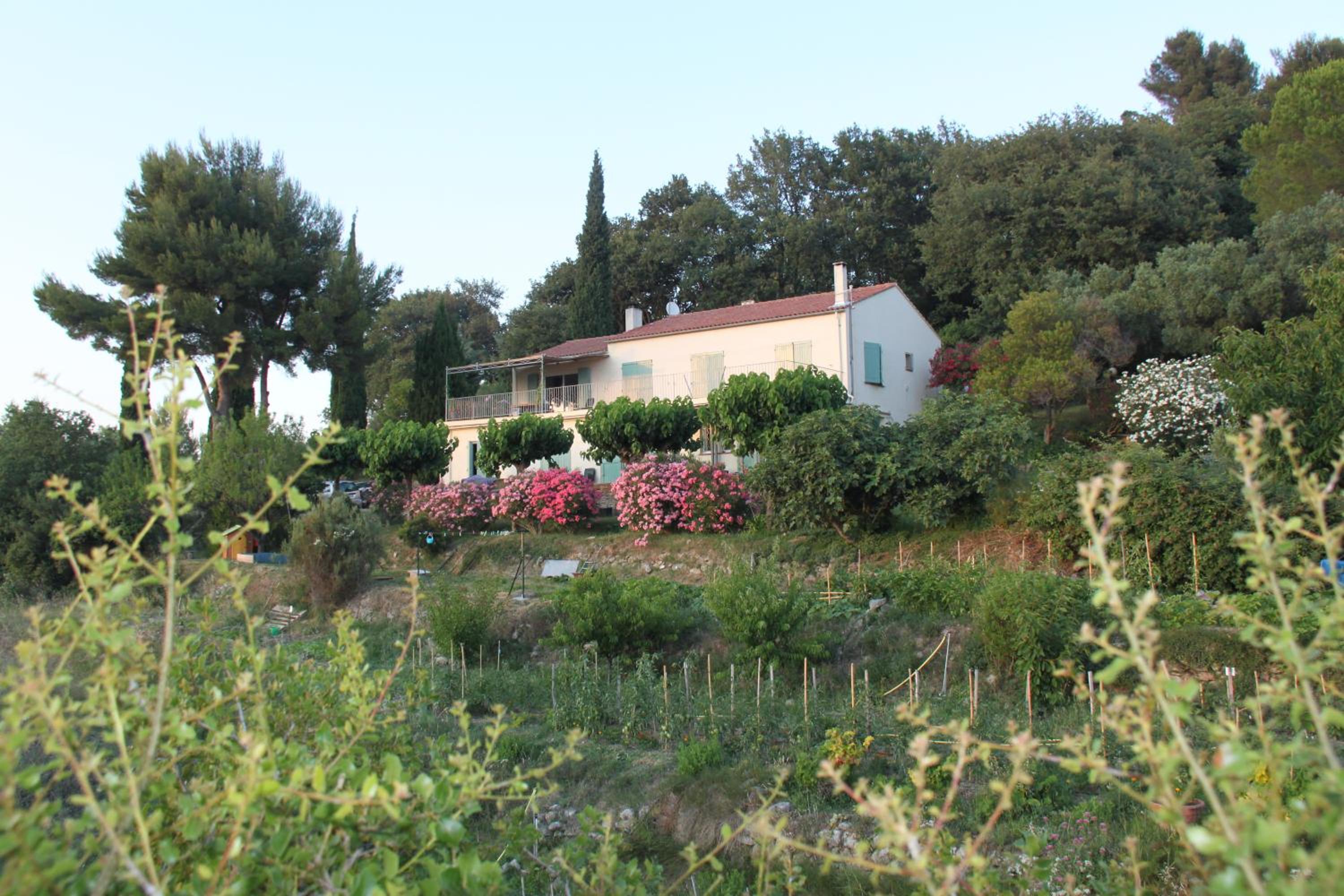 La Maison De La Cadière, photo 3