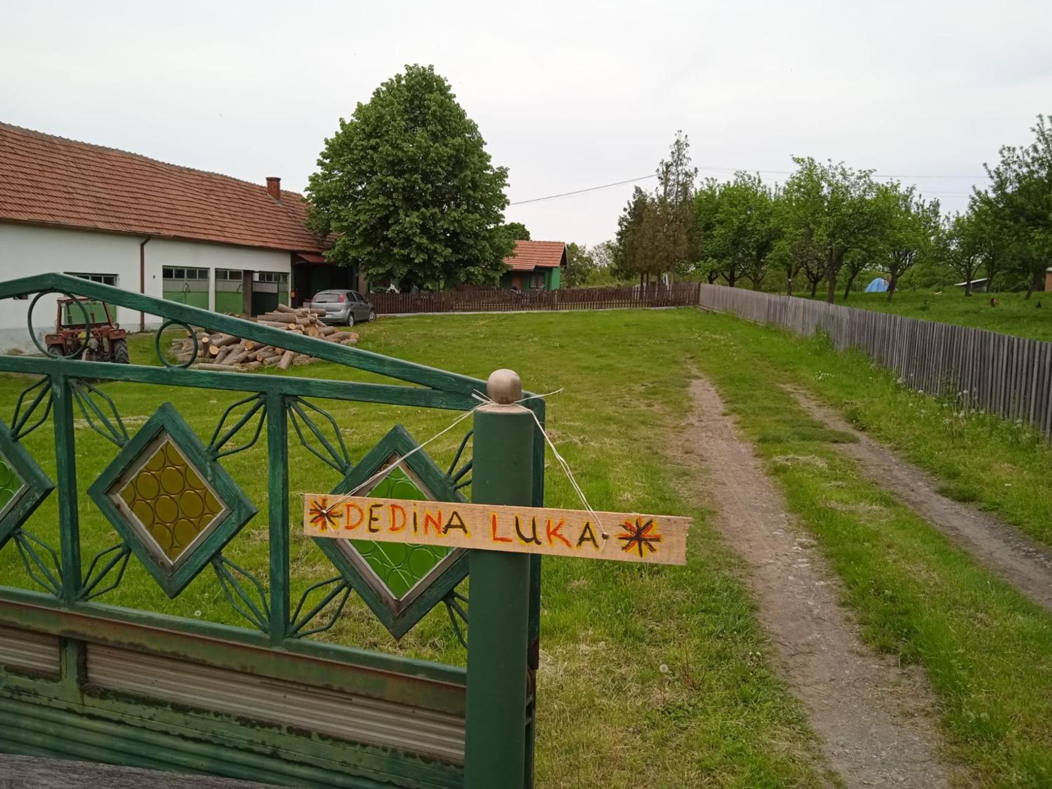 Photo 8