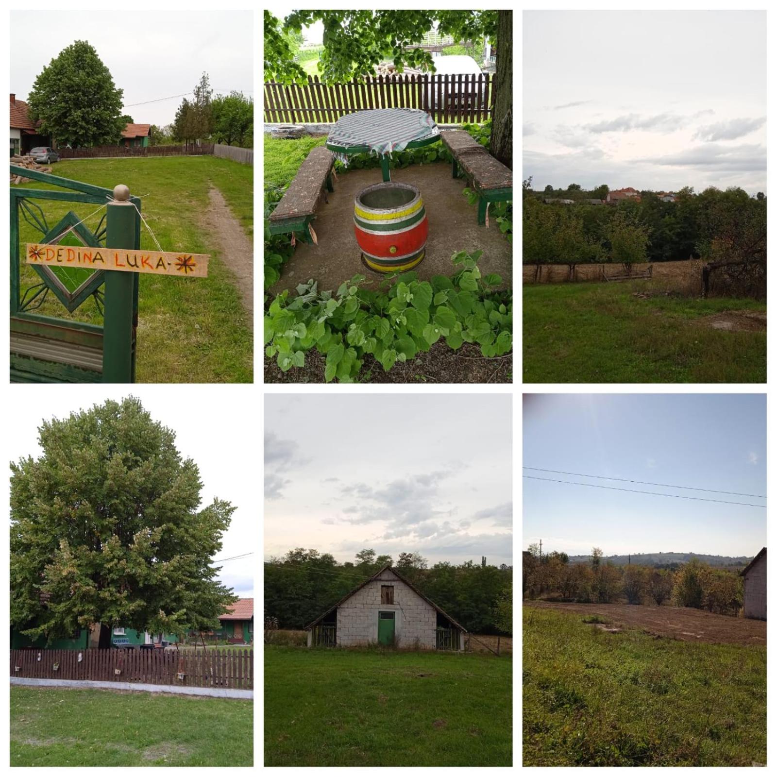 Photo 48