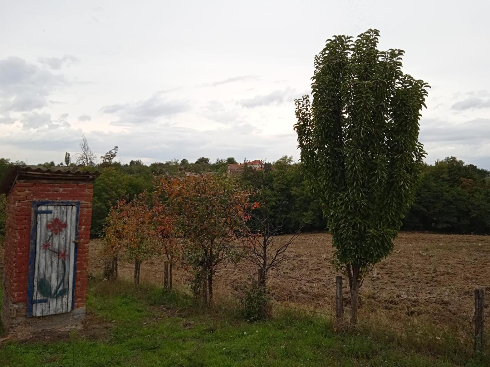 Photo 56