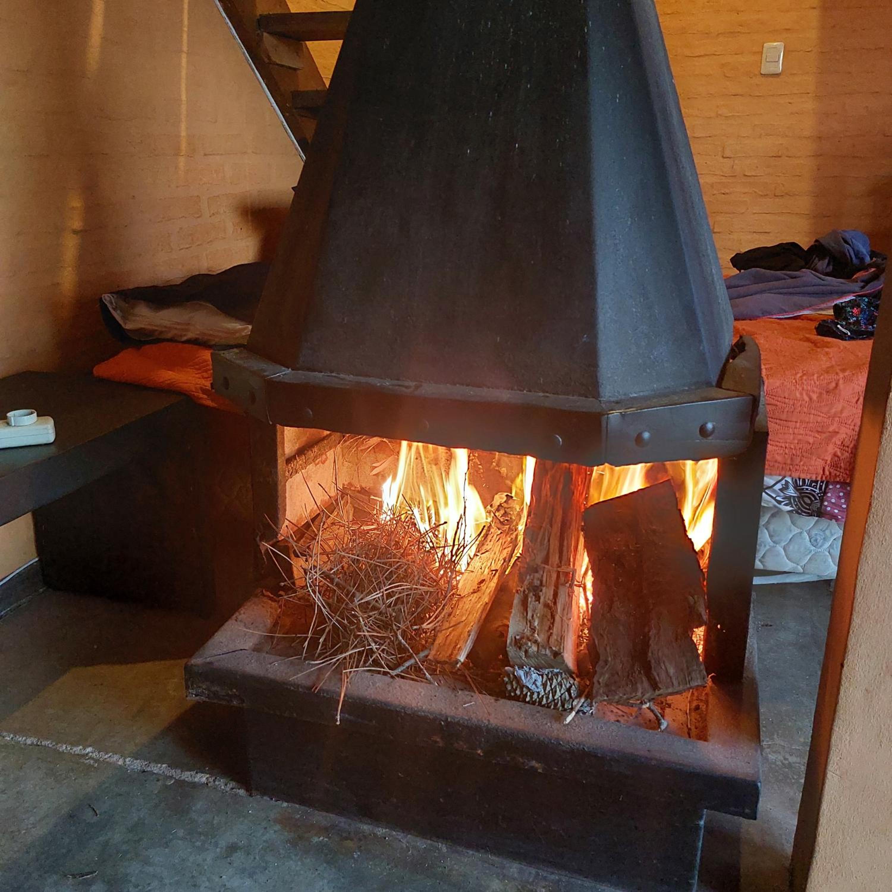 Photo 41