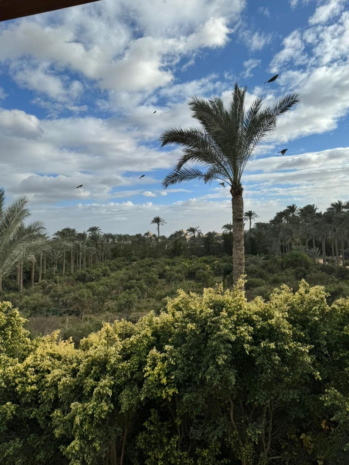 Villa azizya compound pyramids view