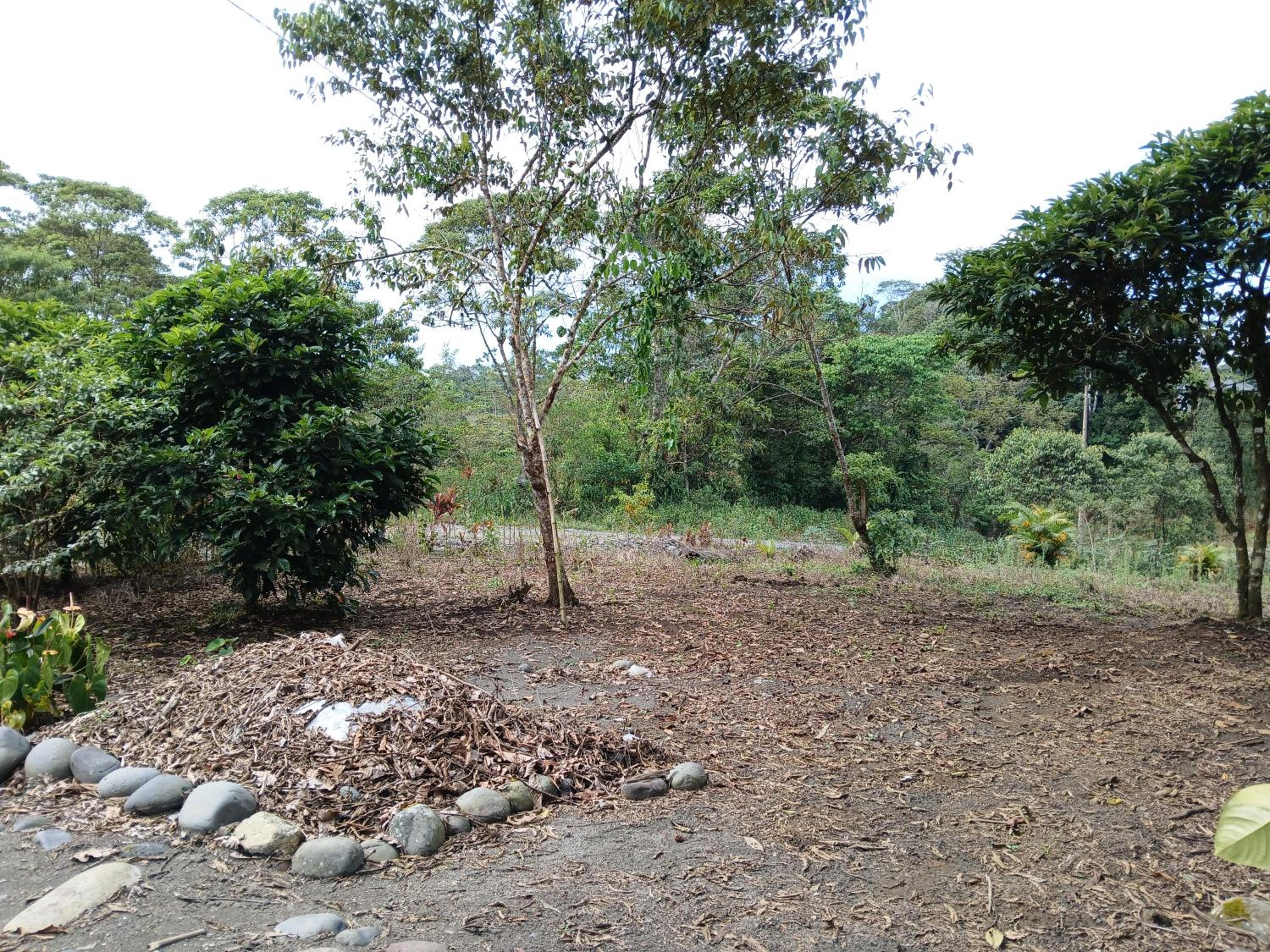 FEVU VERA FOREST HOUSE