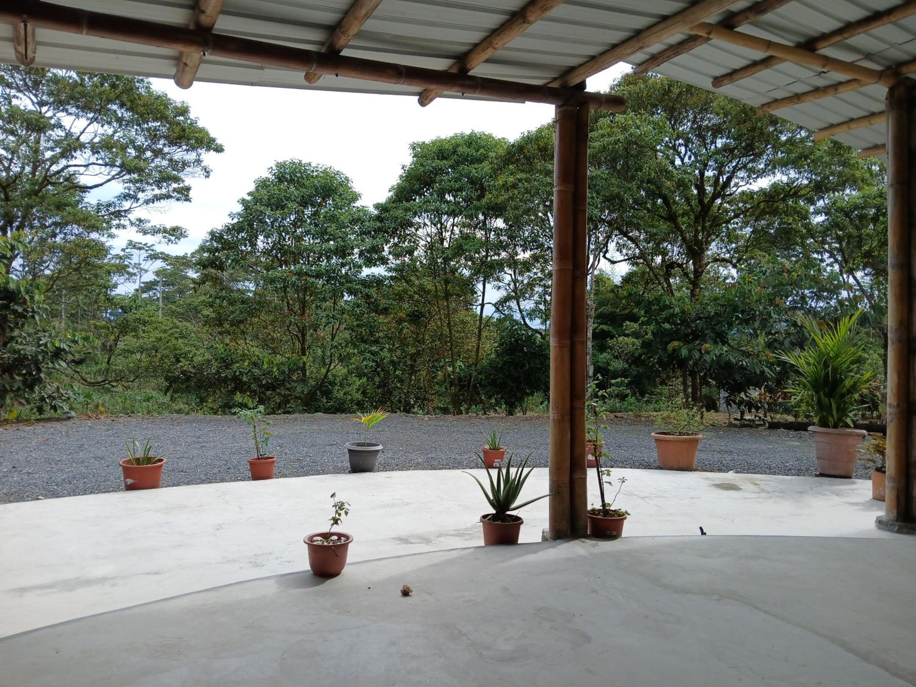 FEVU VERA FOREST HOUSE