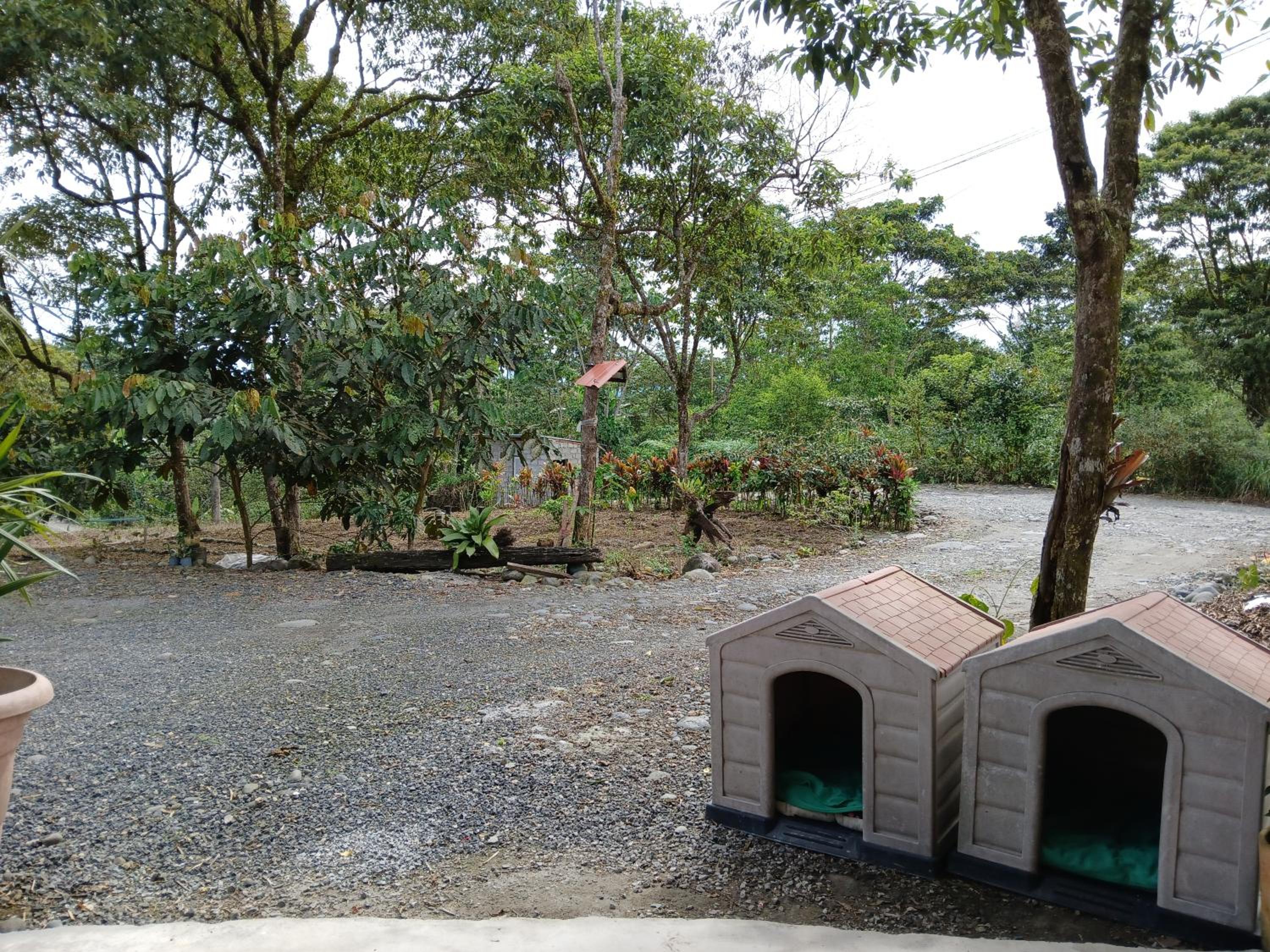 FEVU VERA FOREST HOUSE