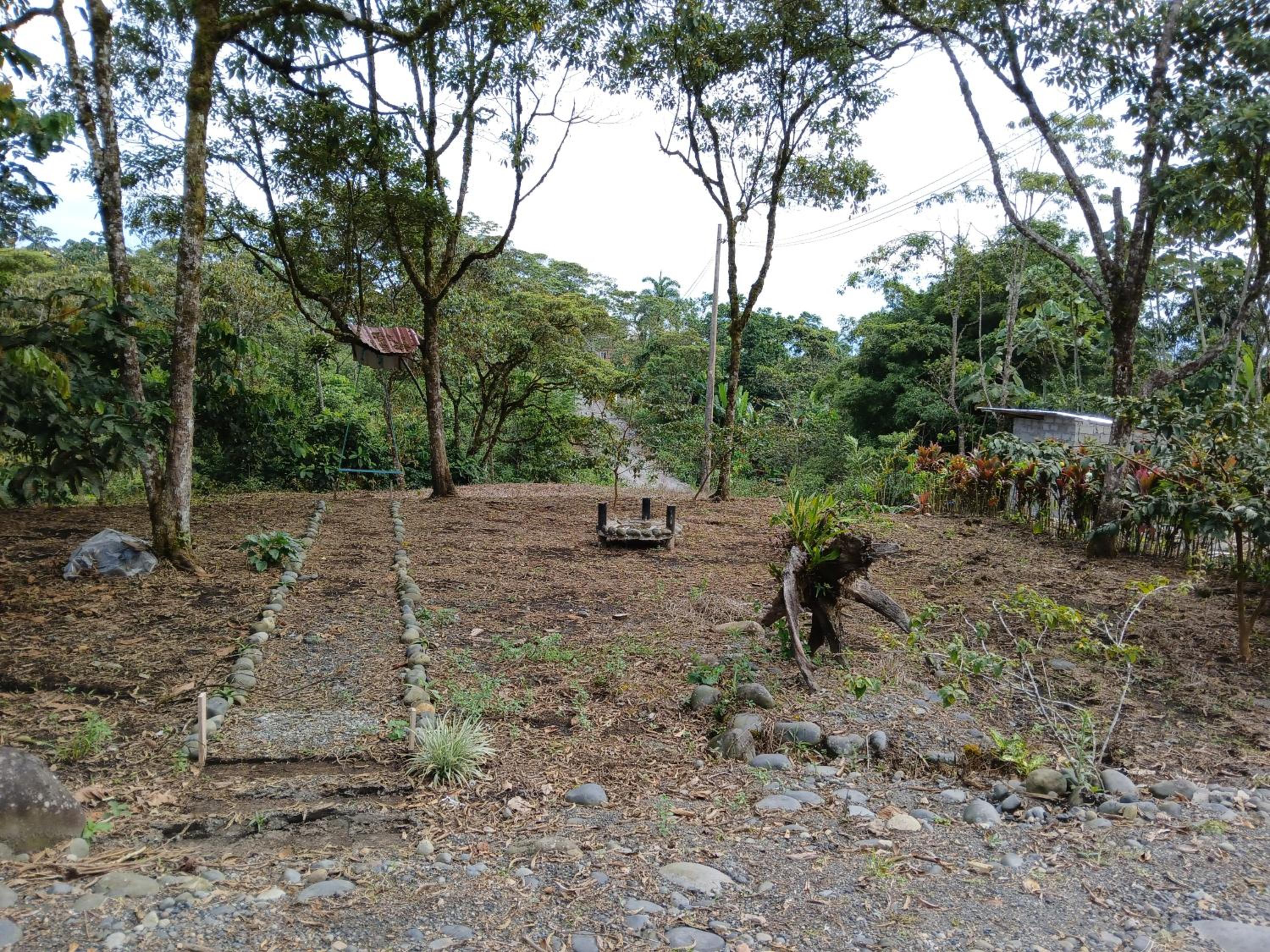 FEVU VERA FOREST HOUSE
