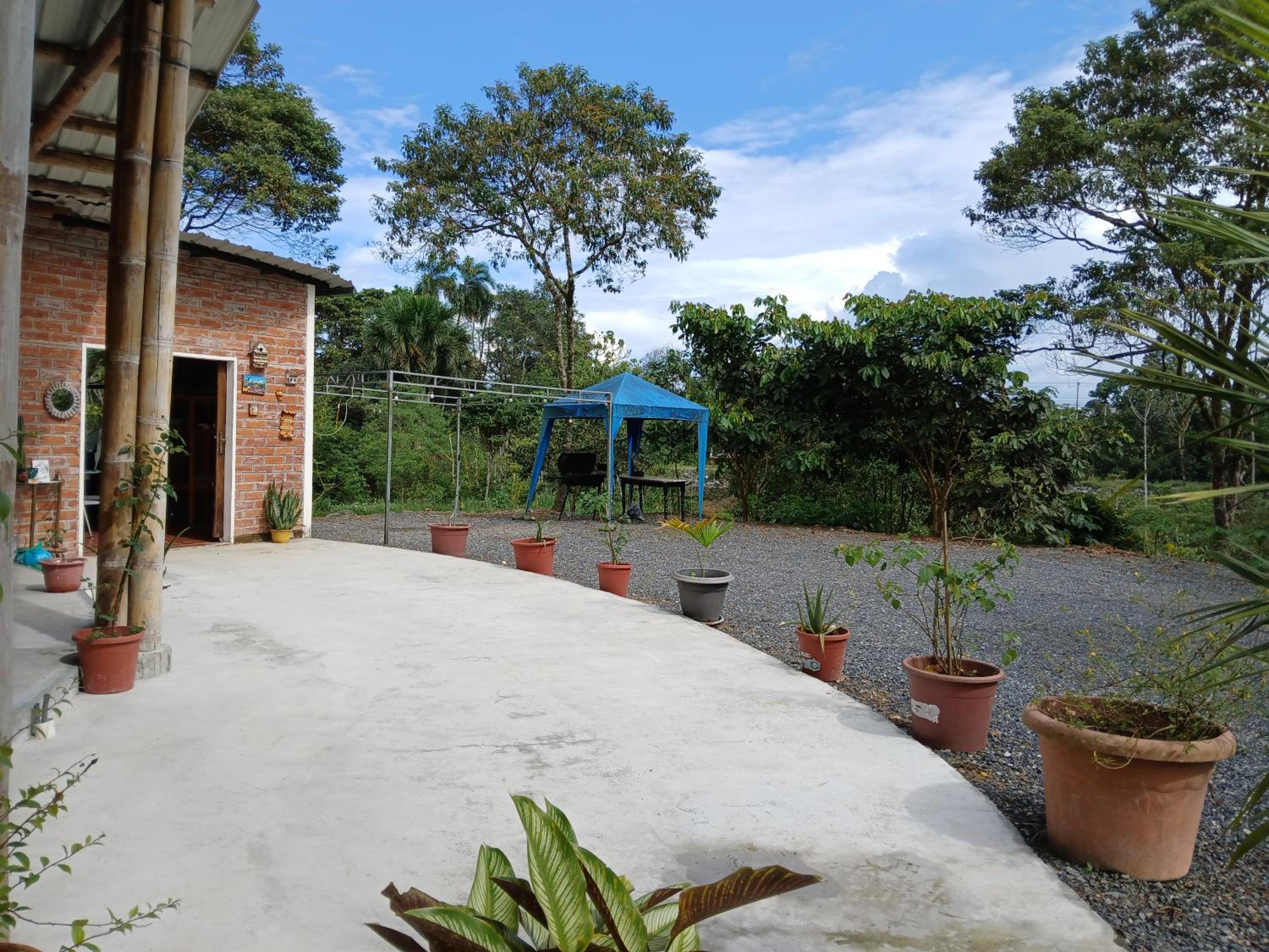 FEVU VERA FOREST HOUSE