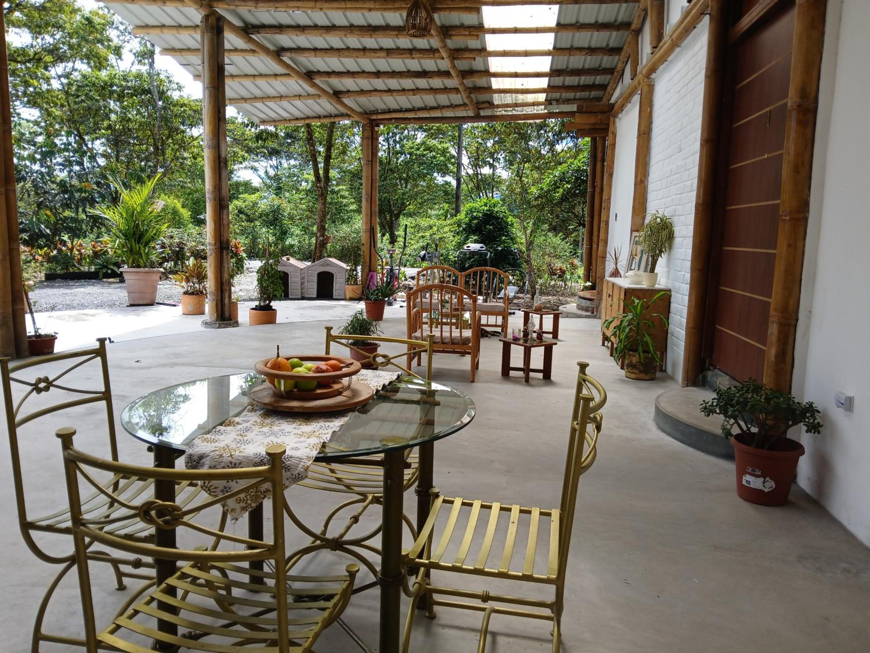 FEVU VERA FOREST HOUSE