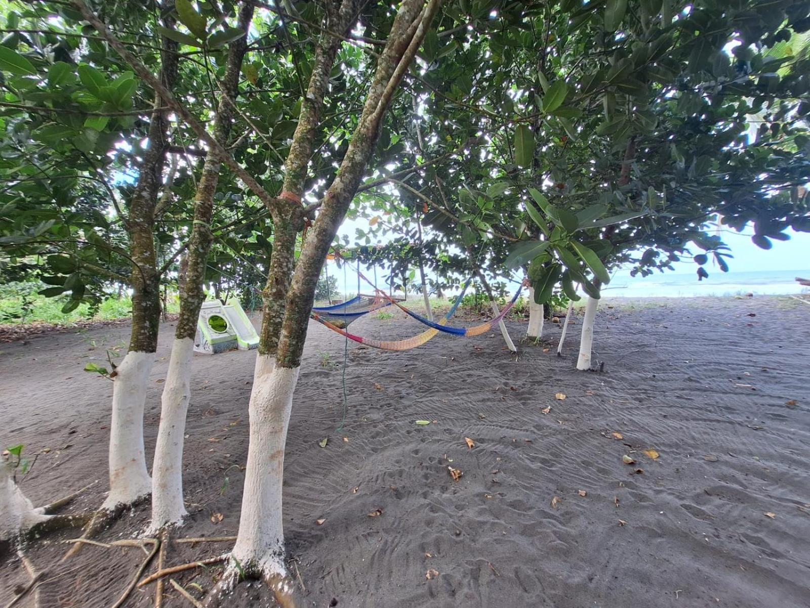 Habitaciones Cocolú