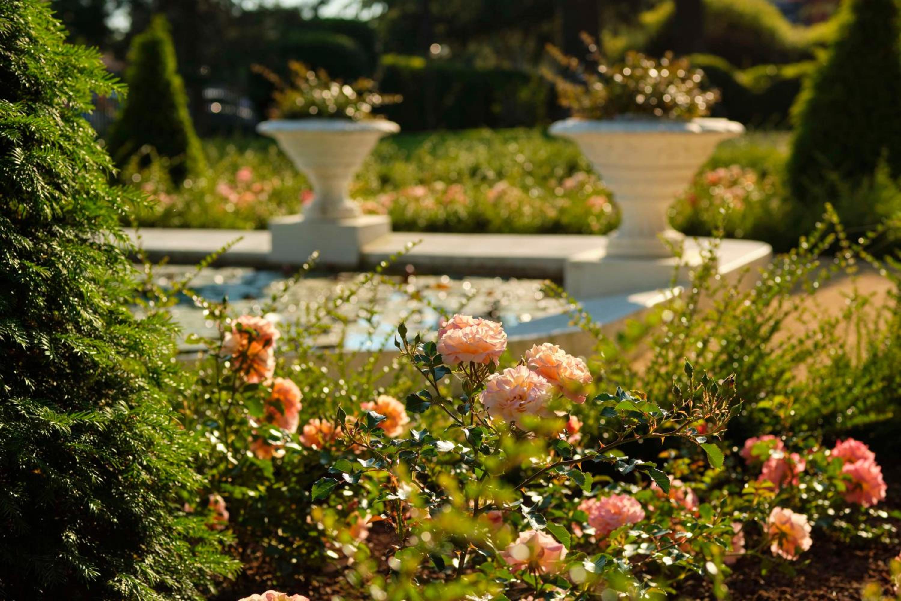 Portoroz Vacations - Hotel Kempinski Palace Portoroz - Property Image 8