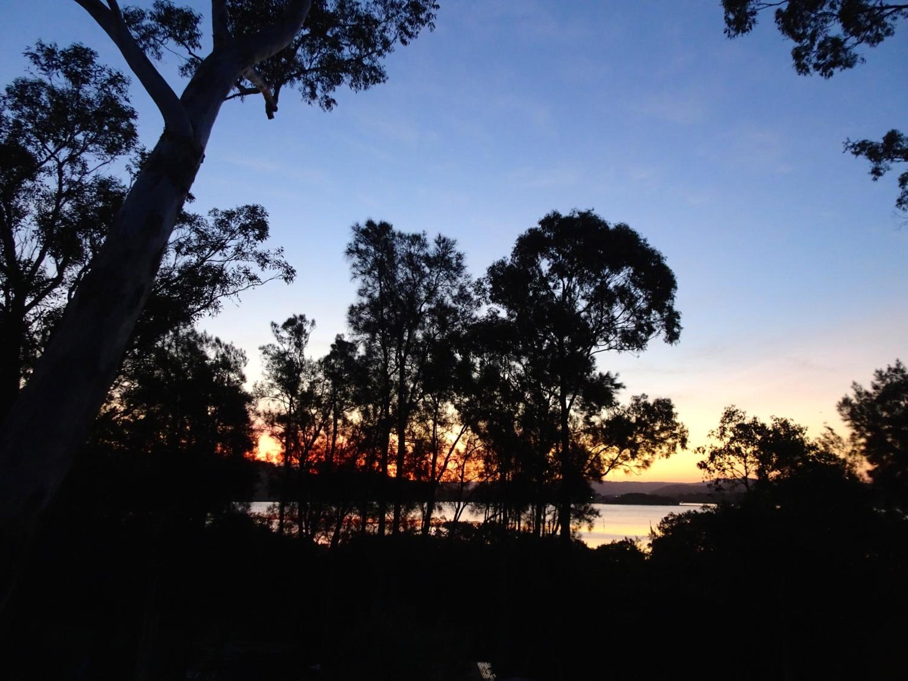 Blue Gum Cottage on Bay