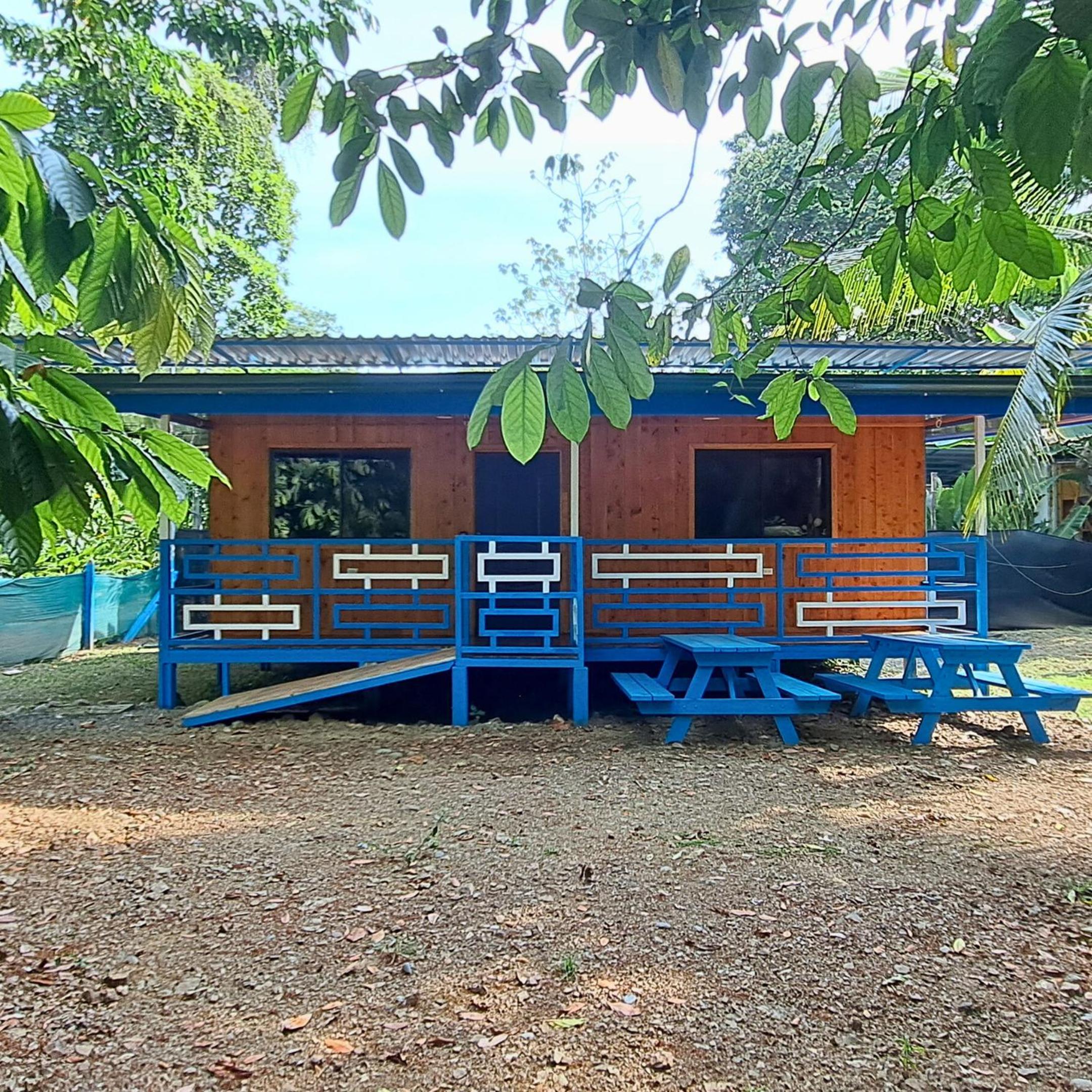 CABINAS BALLENA AZUL