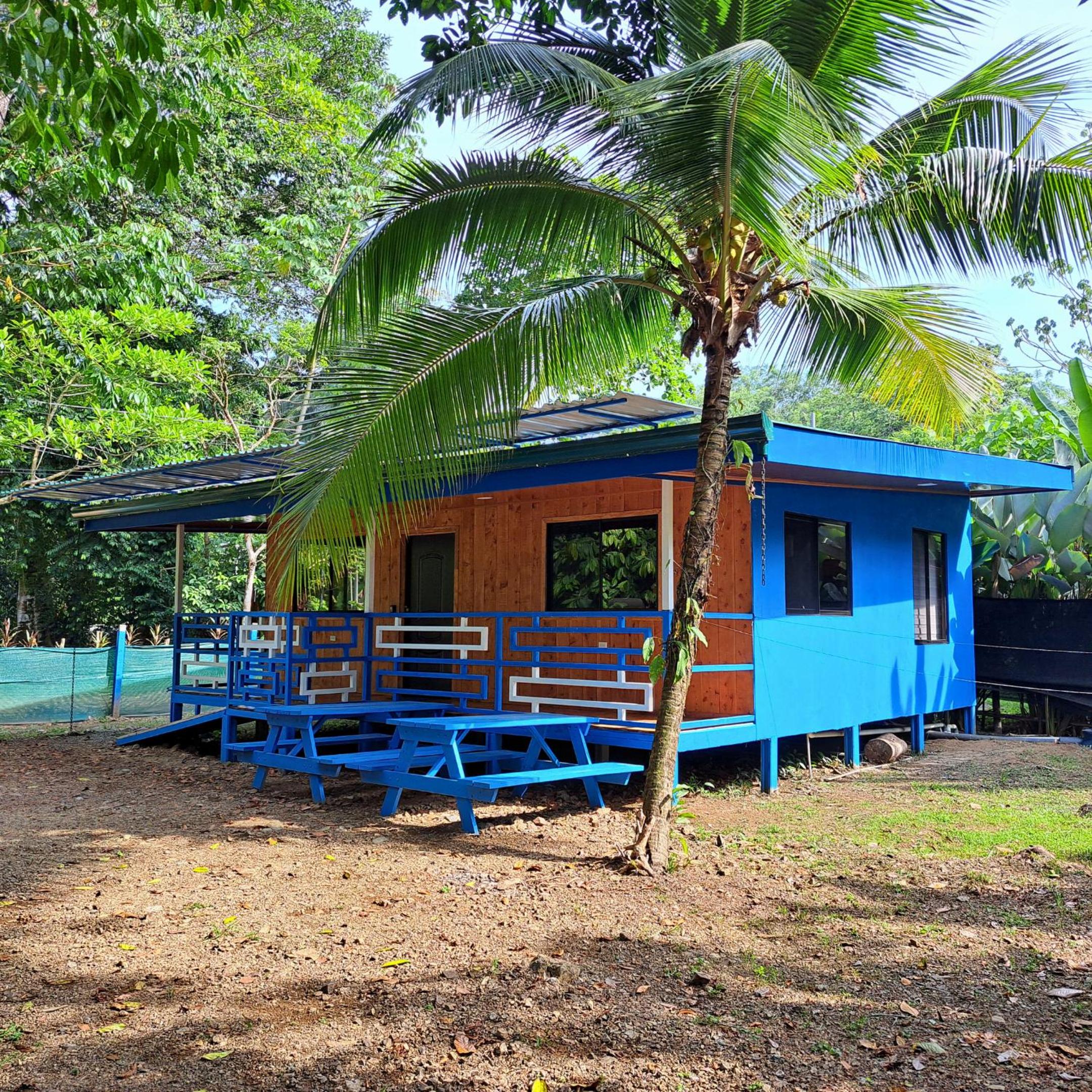 CABINAS BALLENA AZUL