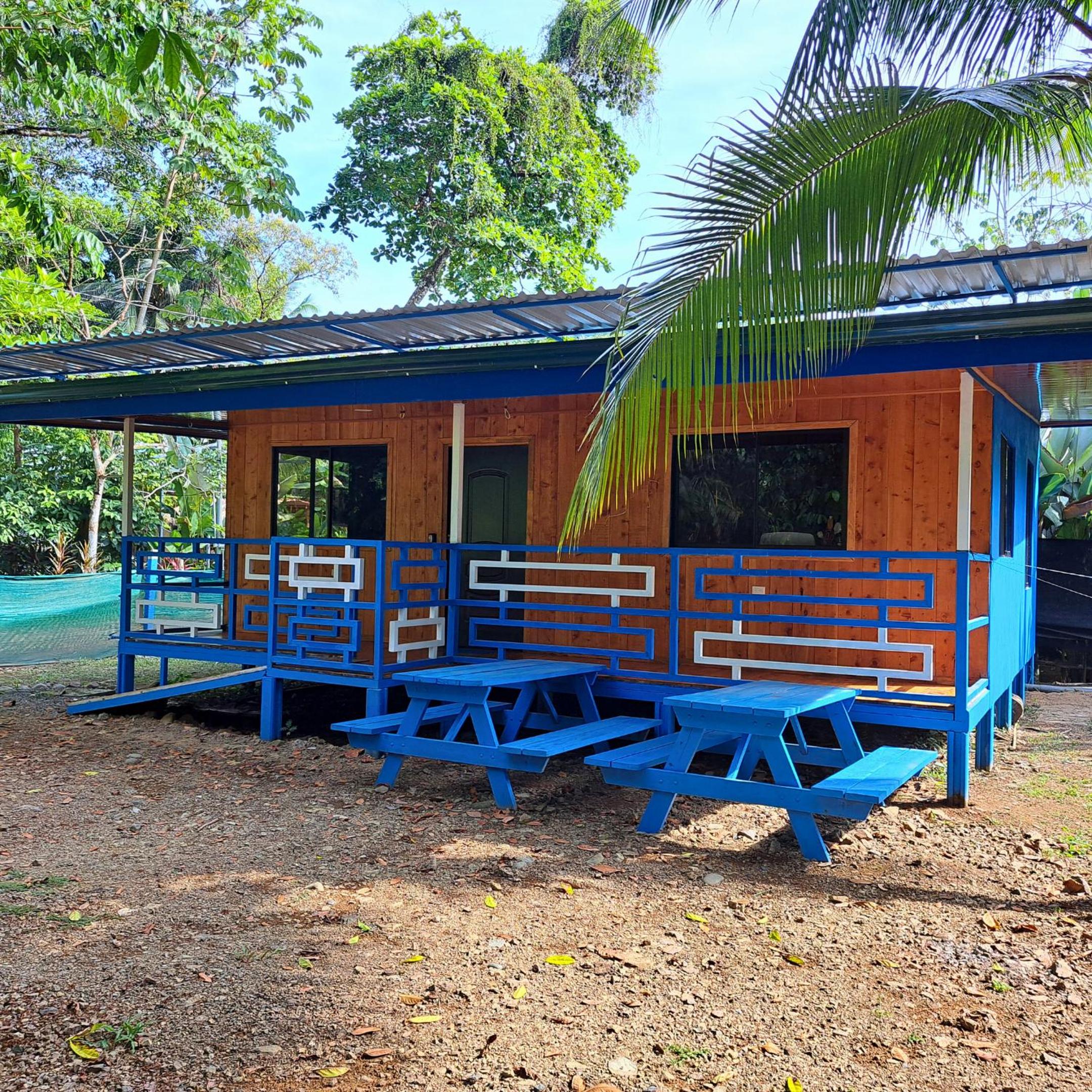 CABINAS BALLENA AZUL