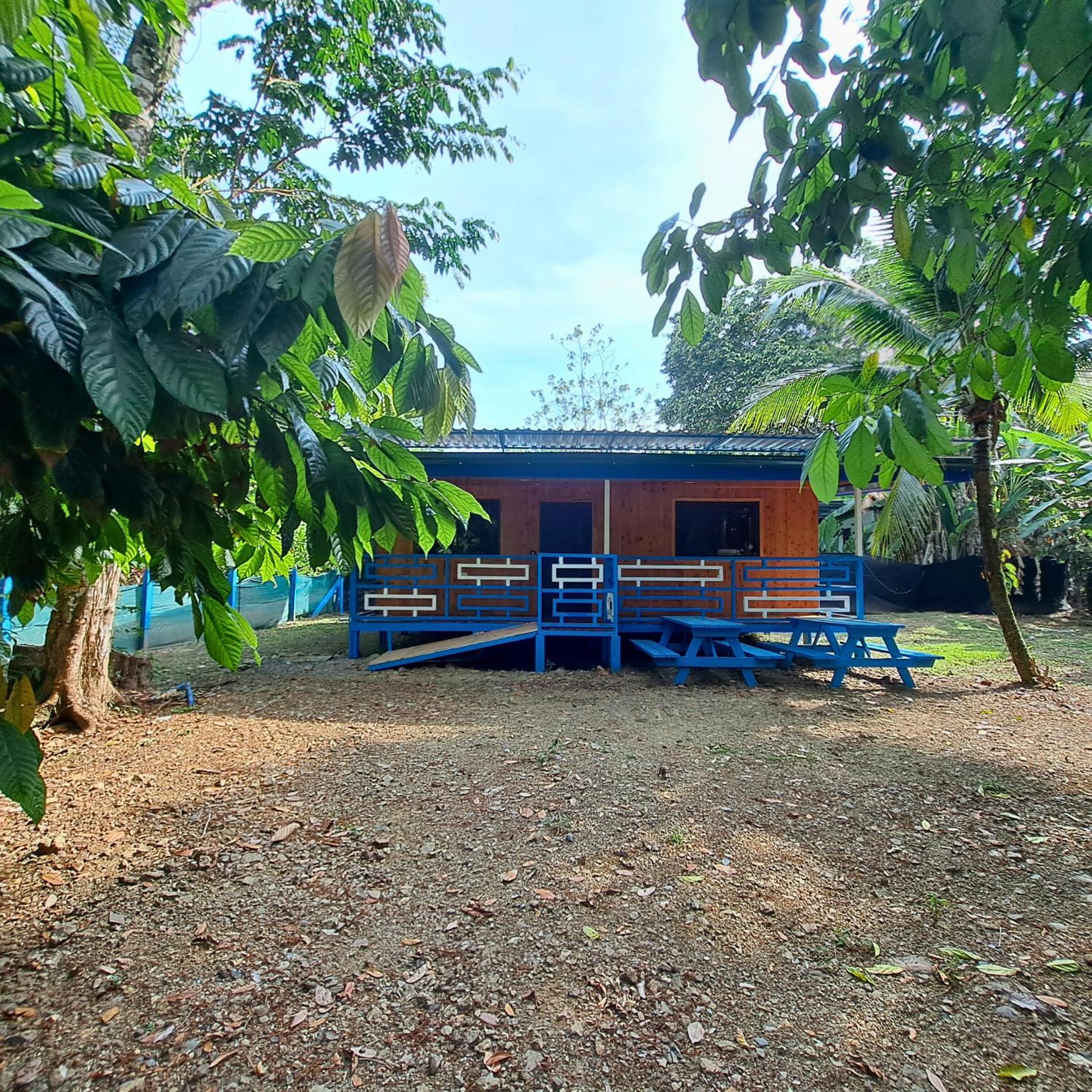 CABINAS BALLENA AZUL