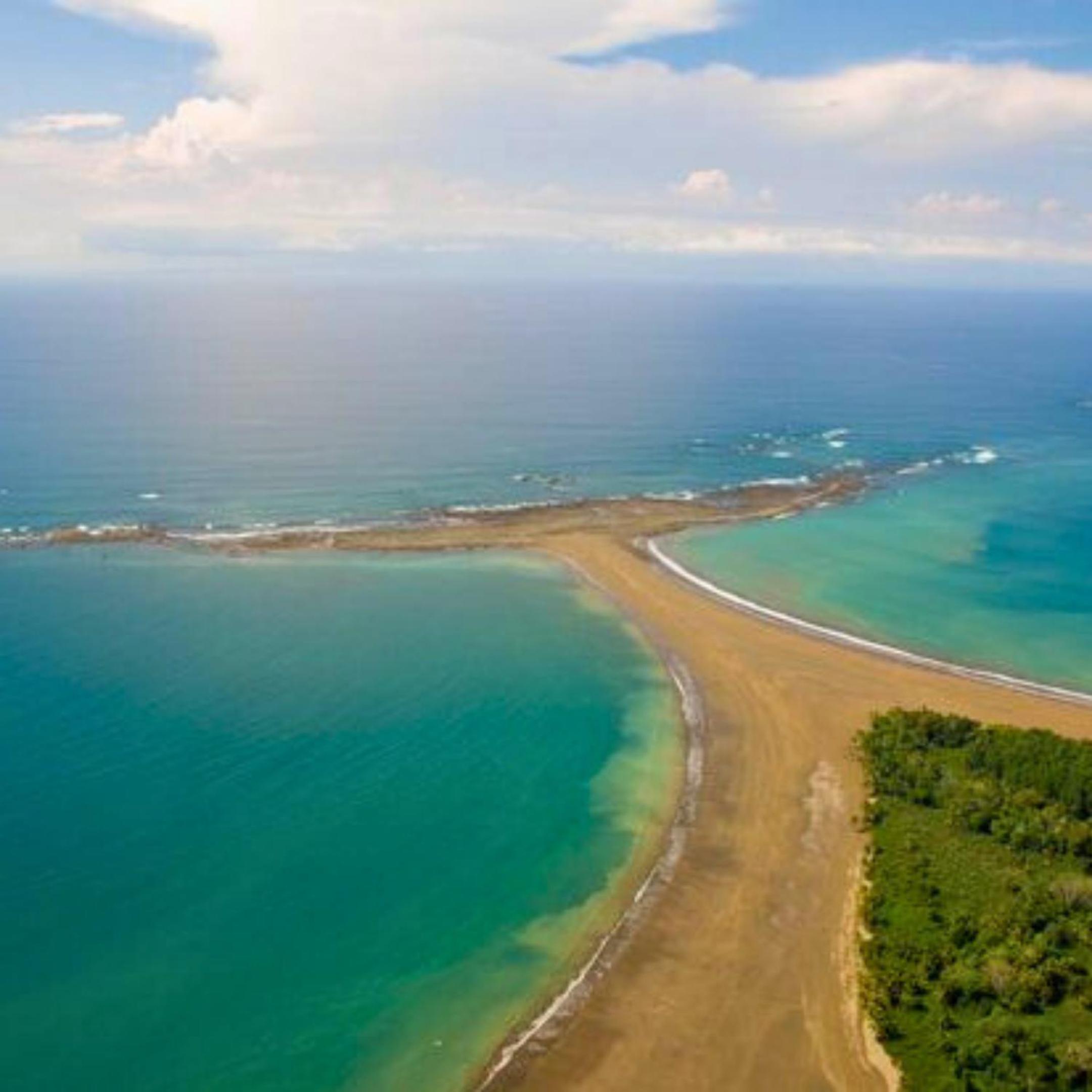 CABINAS BALLENA AZUL